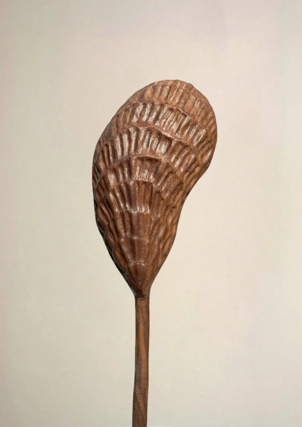 Large Seaworn Shell