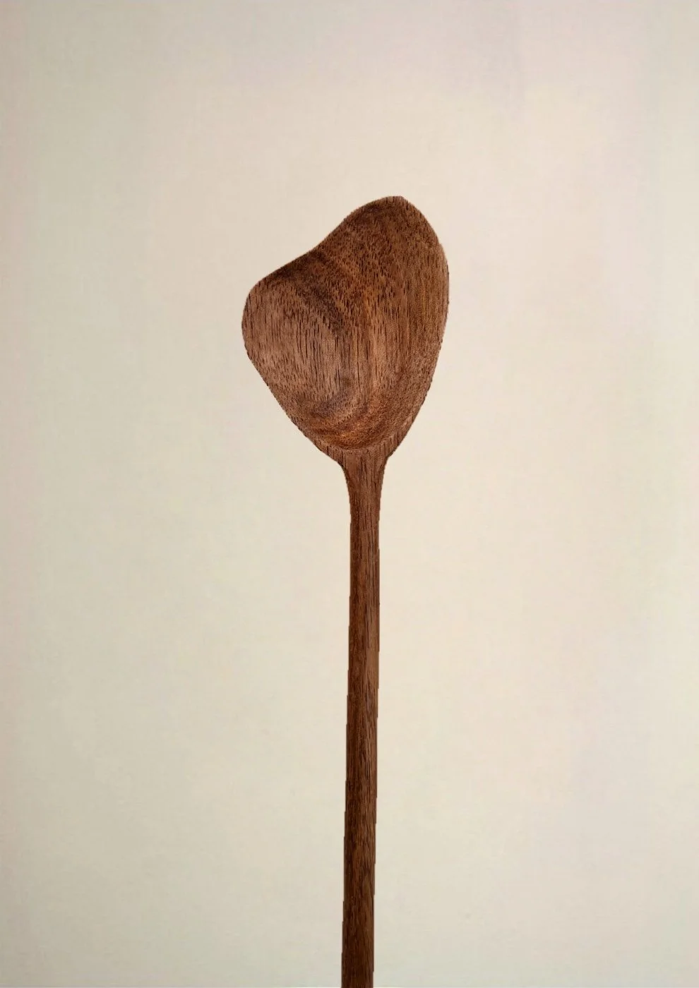 Large Spoon