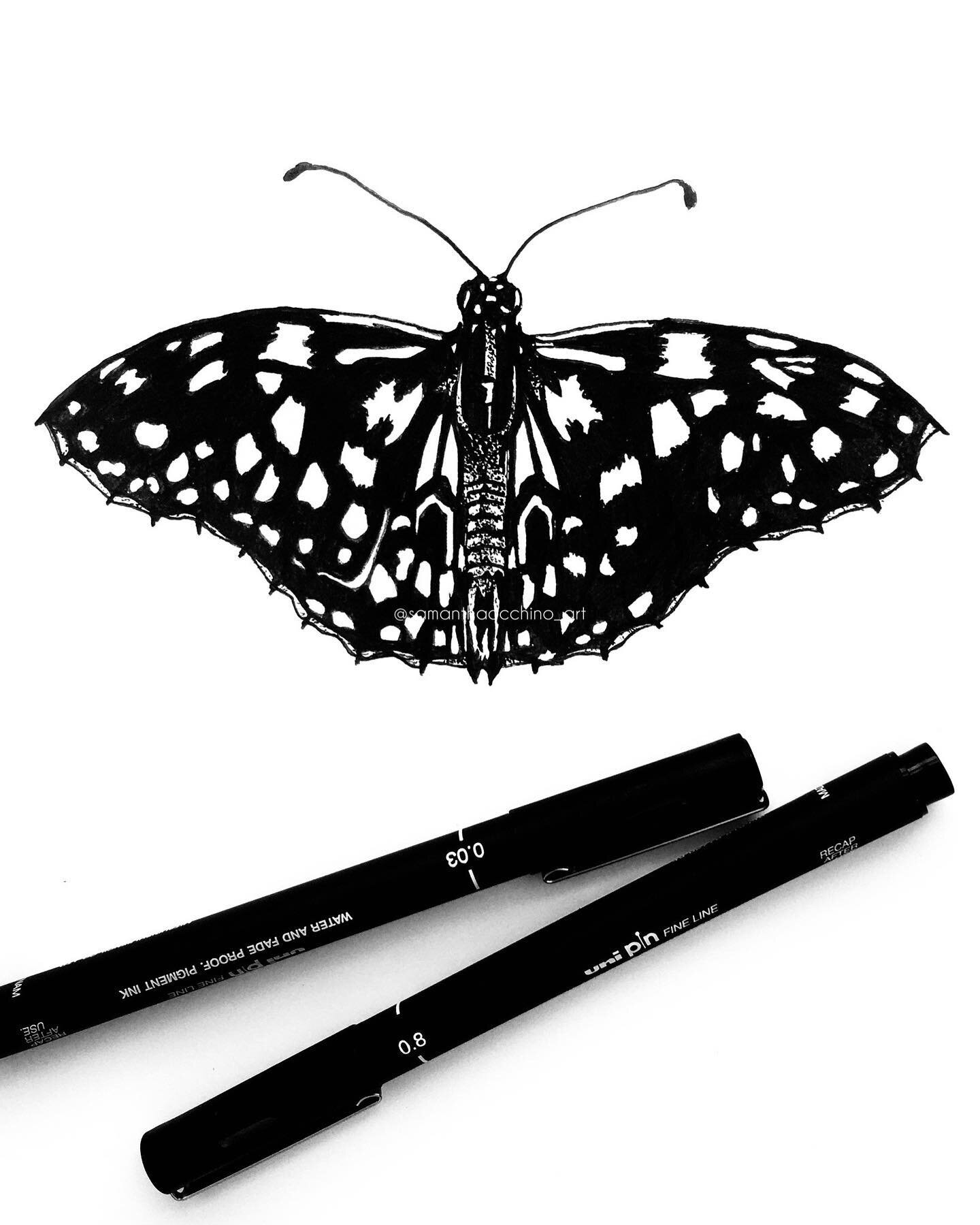 &bull; M o n o 🦋 &bull;
Having a doodle✏️
⠀⠀⠀⠀⠀⠀⠀⠀⠀
Swipe to see the first black colouring in of the wing 🦋
⠀⠀⠀⠀⠀⠀⠀⠀⠀
hope you have a wonderful start to the week!! X
⠀⠀⠀⠀⠀⠀⠀⠀⠀
#butterflydrawing #handdrawnart #finelinerart #sketchbook #finelinerdraw