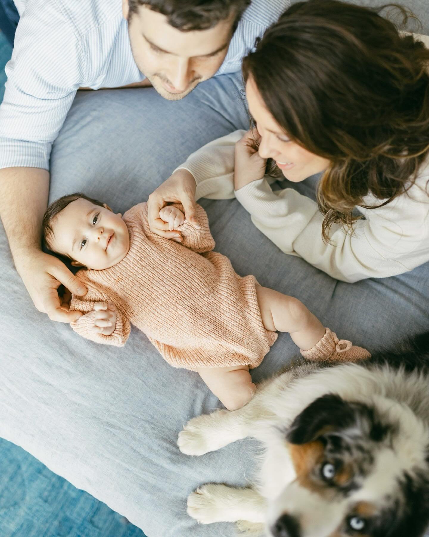 I&rsquo;m so behind on posting sessions, especially all the heart-melting in-home sessions I&rsquo;ve had over the past few months. 

I remember my mom telling me how she never got to visit other peoples homes as a kid and therefore became so fascina