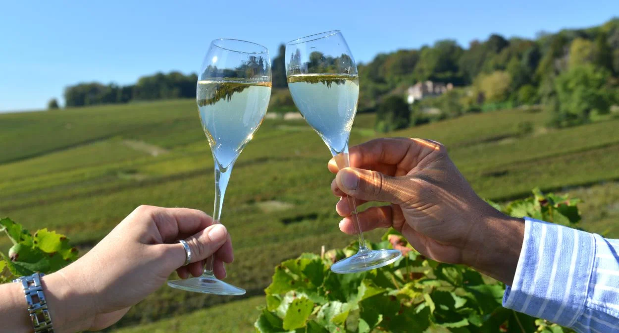 flutes_-_vignoble_-_hautvillerscc._manquillet-coll.adt_marne2.jpg