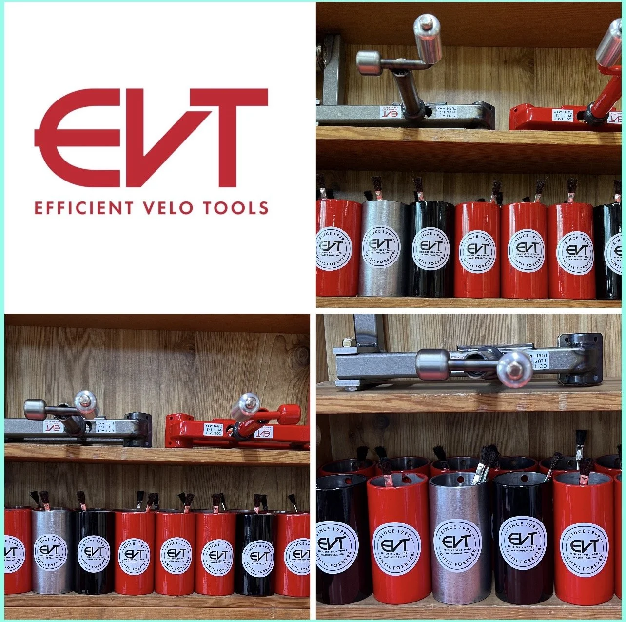 Dippy Cup Collage with EVT logo 1.jpg