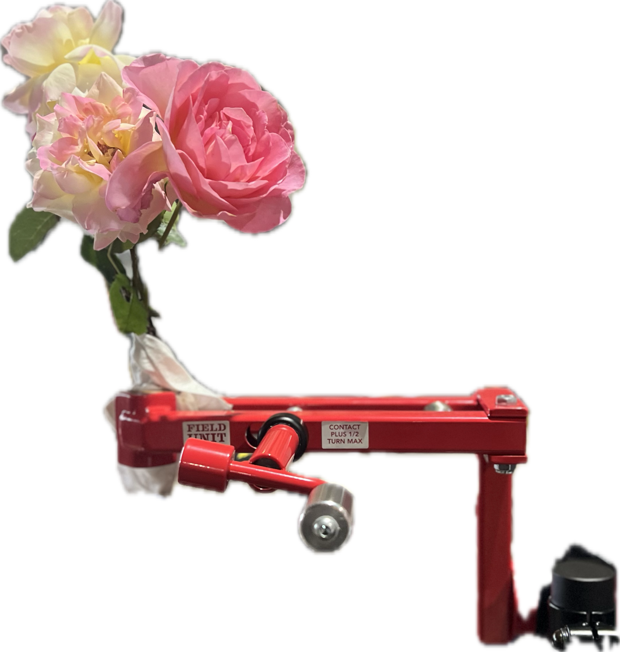 Roses in the RA of a FU Comp shortened.png