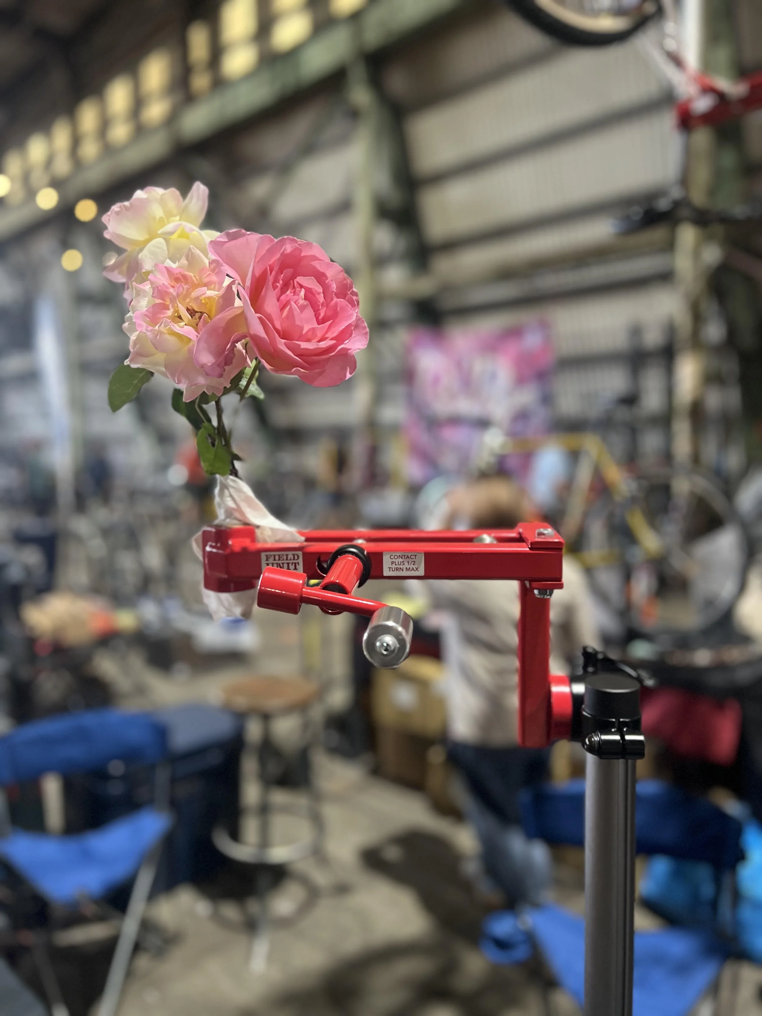 Roses in a RA w background.jpg