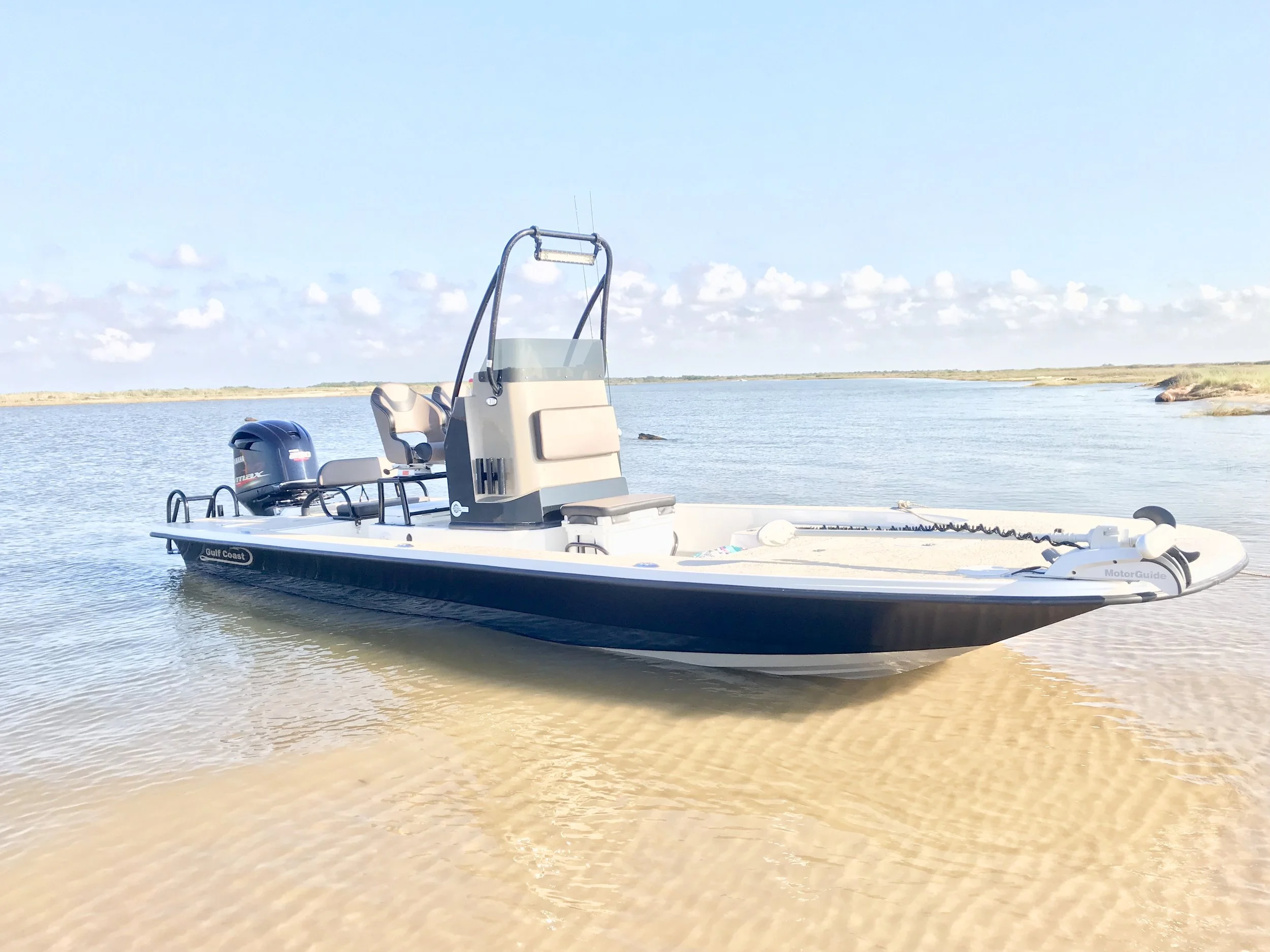 saber cat picture.jpg