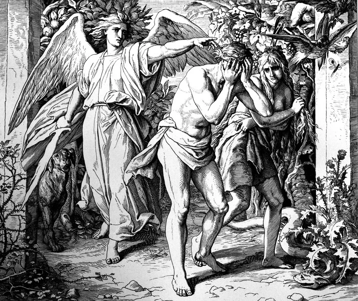 41bc9668678599ac47c5cceb2257792e71c21a94_gettyimages-492725451.jpg