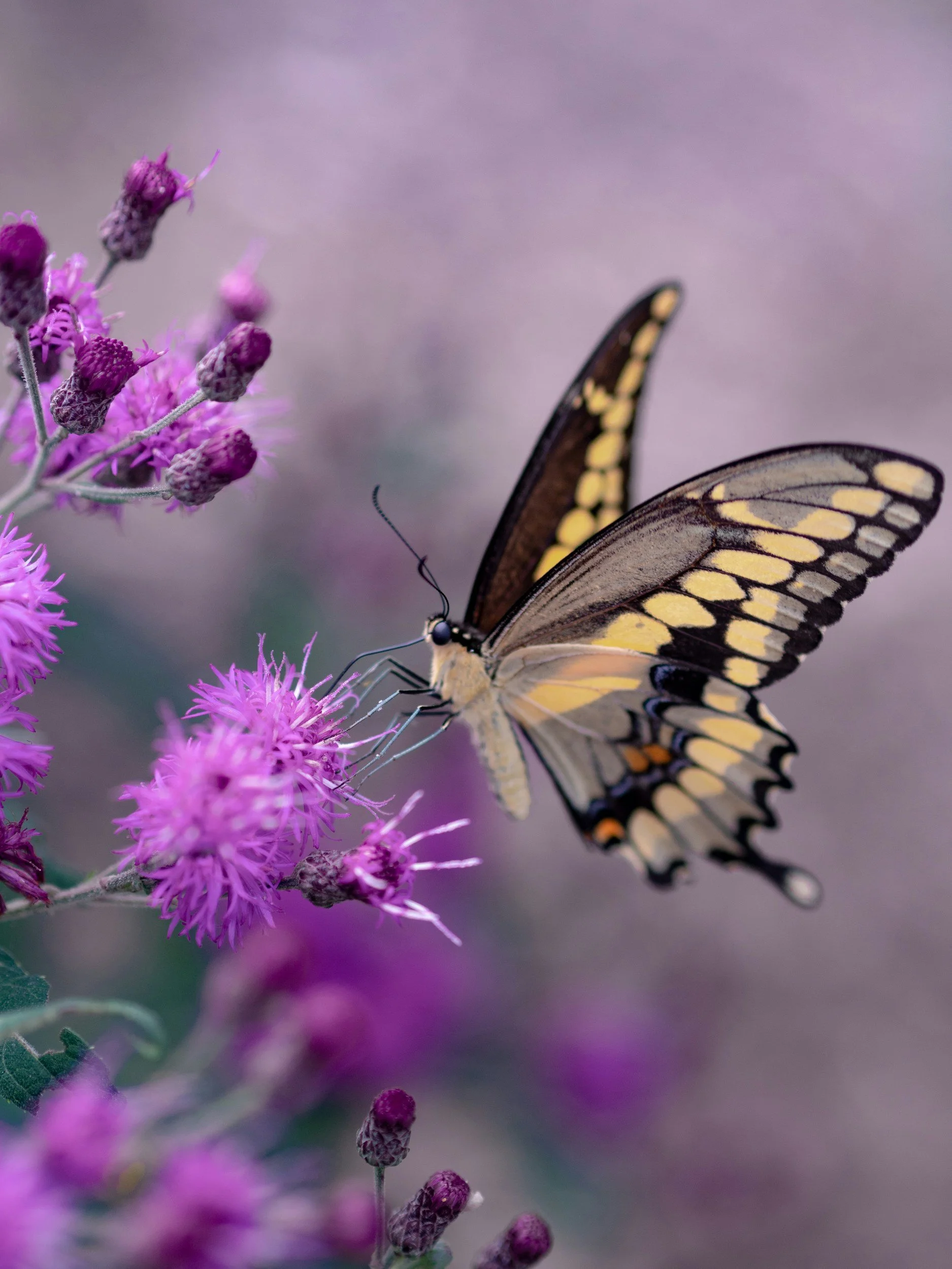 Revolutionizing Your Workplace: Steps to Transform Your Organization