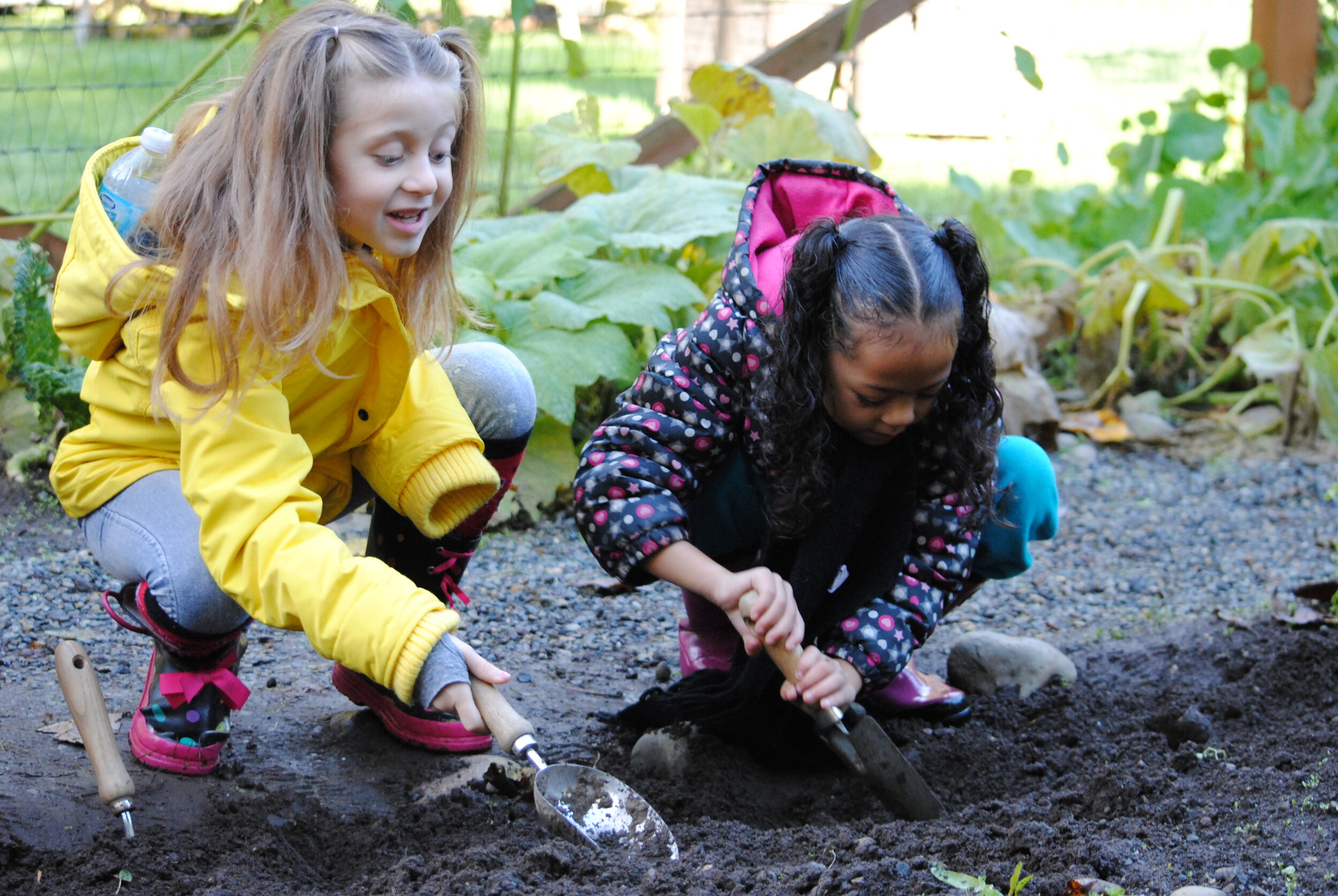 Farm Field Trip Deposit