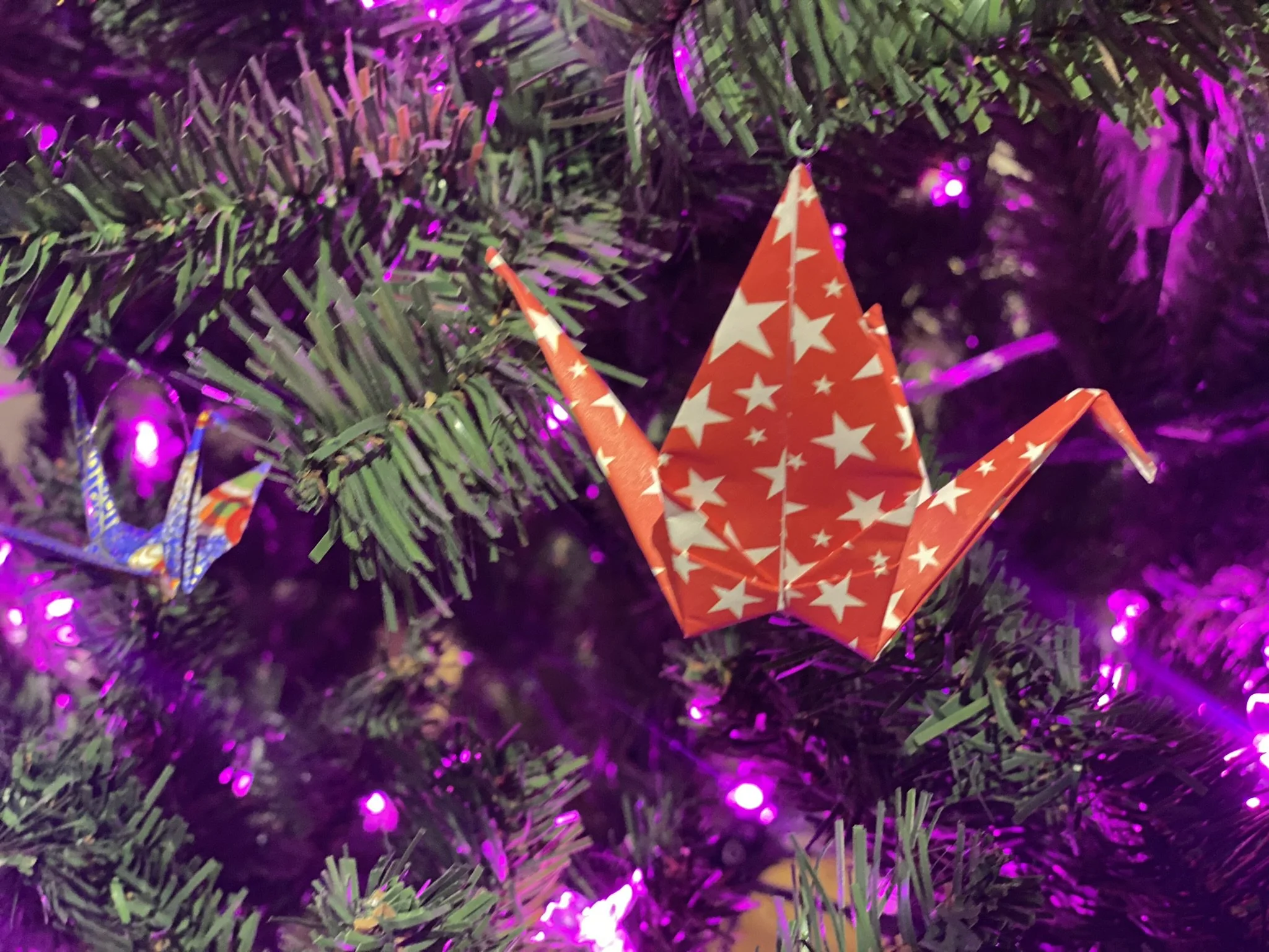 Festival of Trees Family Day