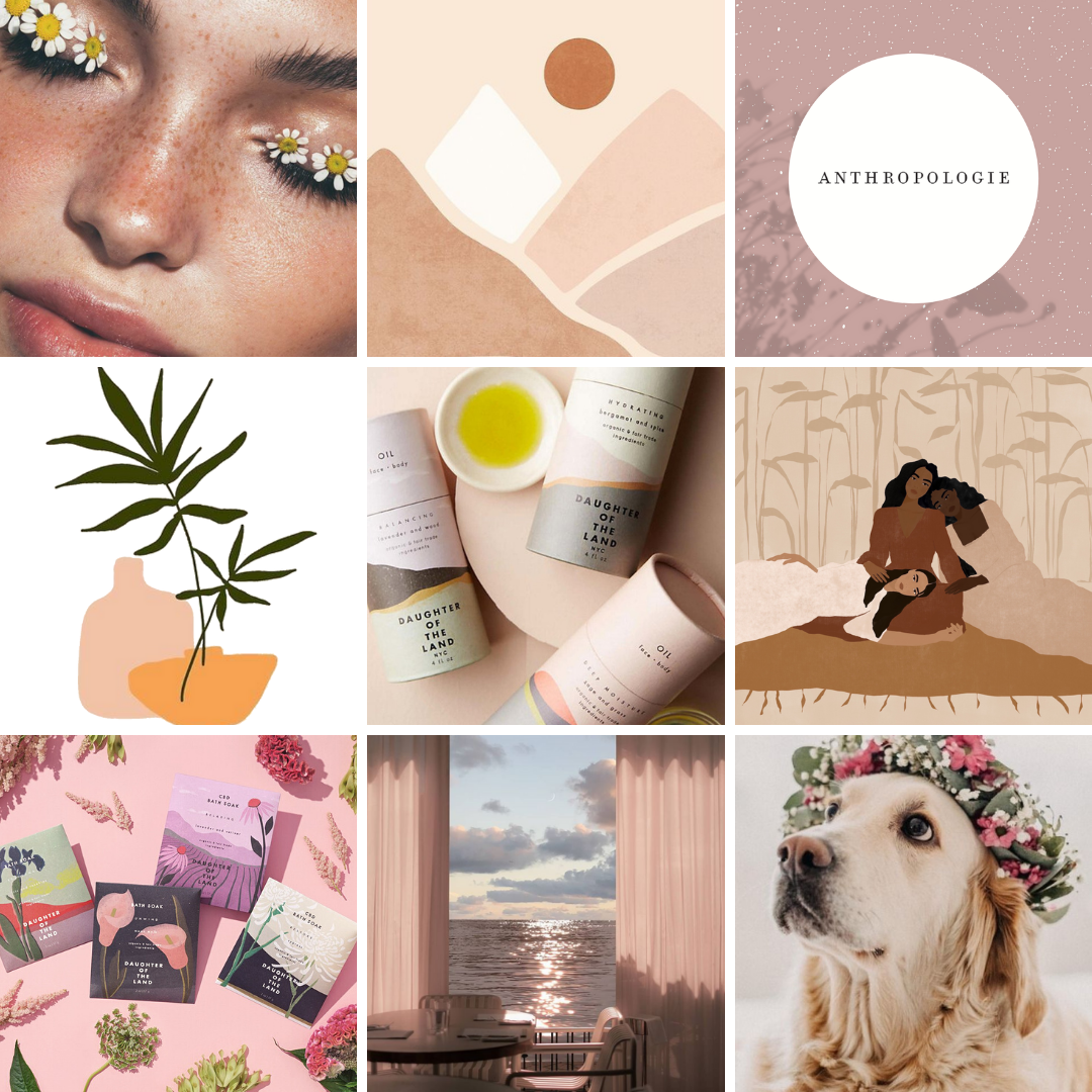 Instagram Feed