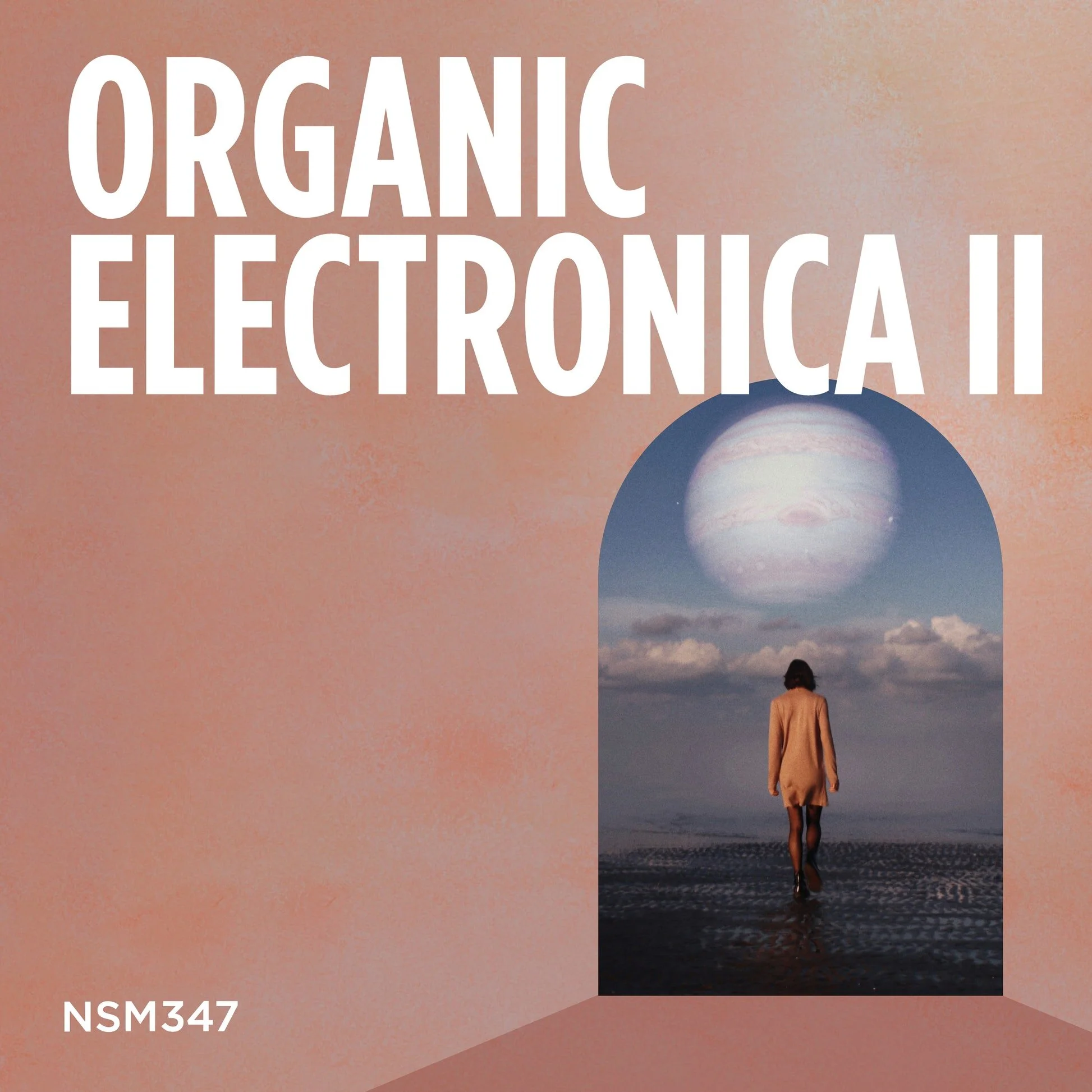 Organic Electronica 2