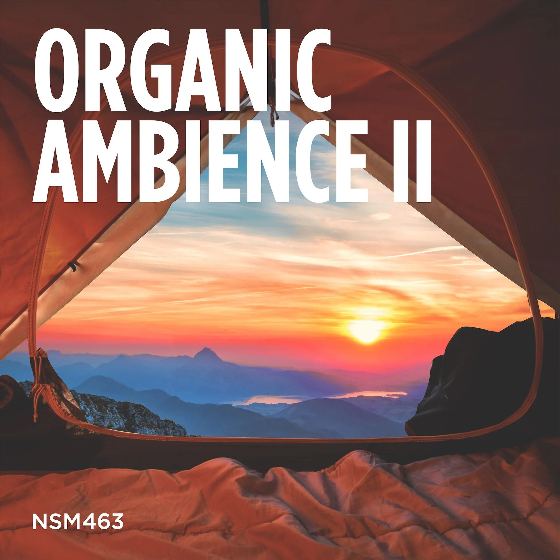 Organic Ambience 2