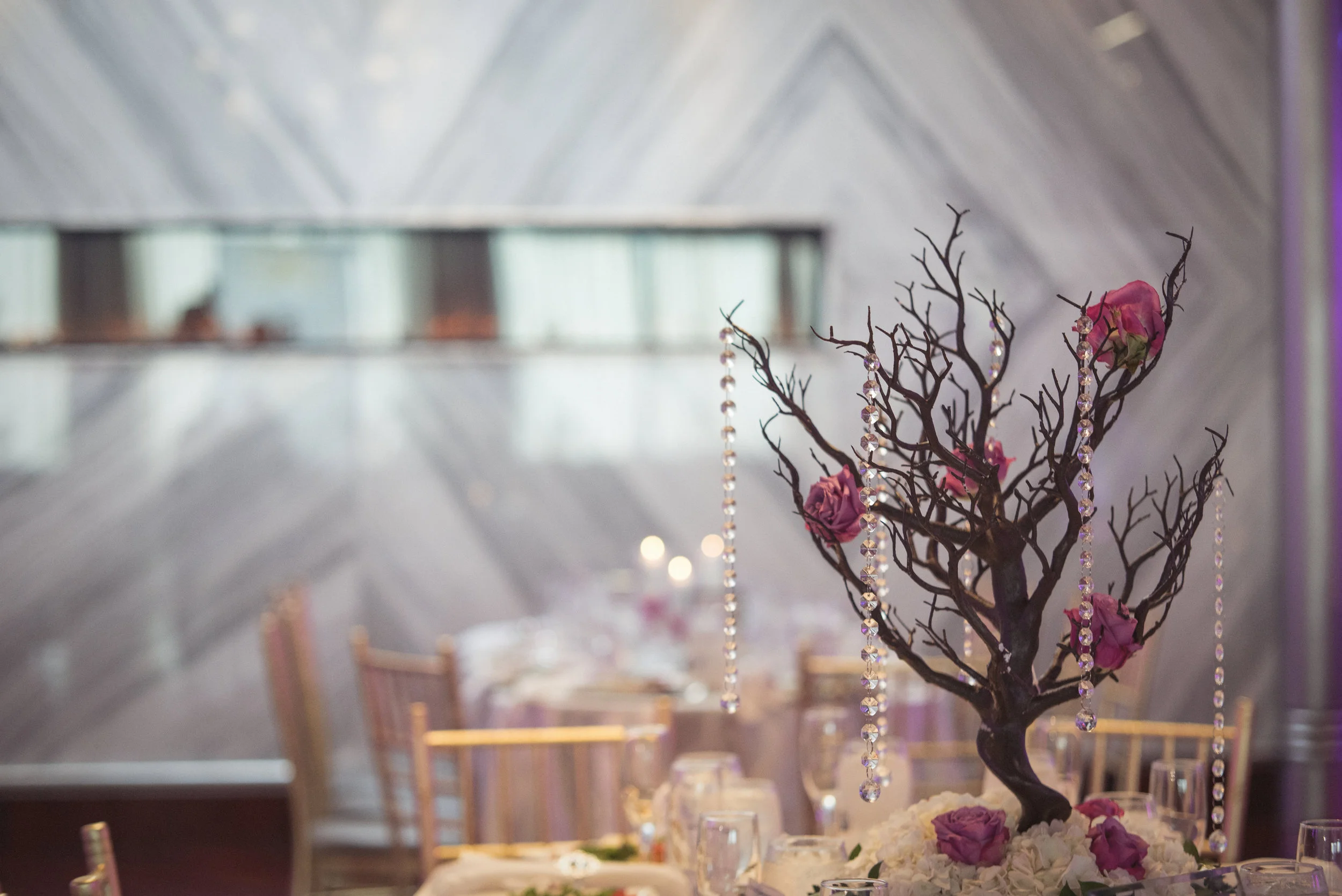 Chris and Vanessa1151.jpg