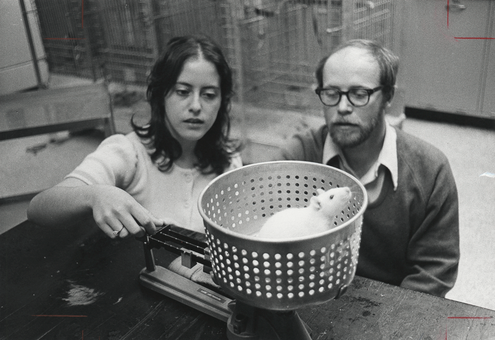 Psychology professor, Dr. Thomas Hershberger and a student conduct an experiment with a lab rat. (1973)