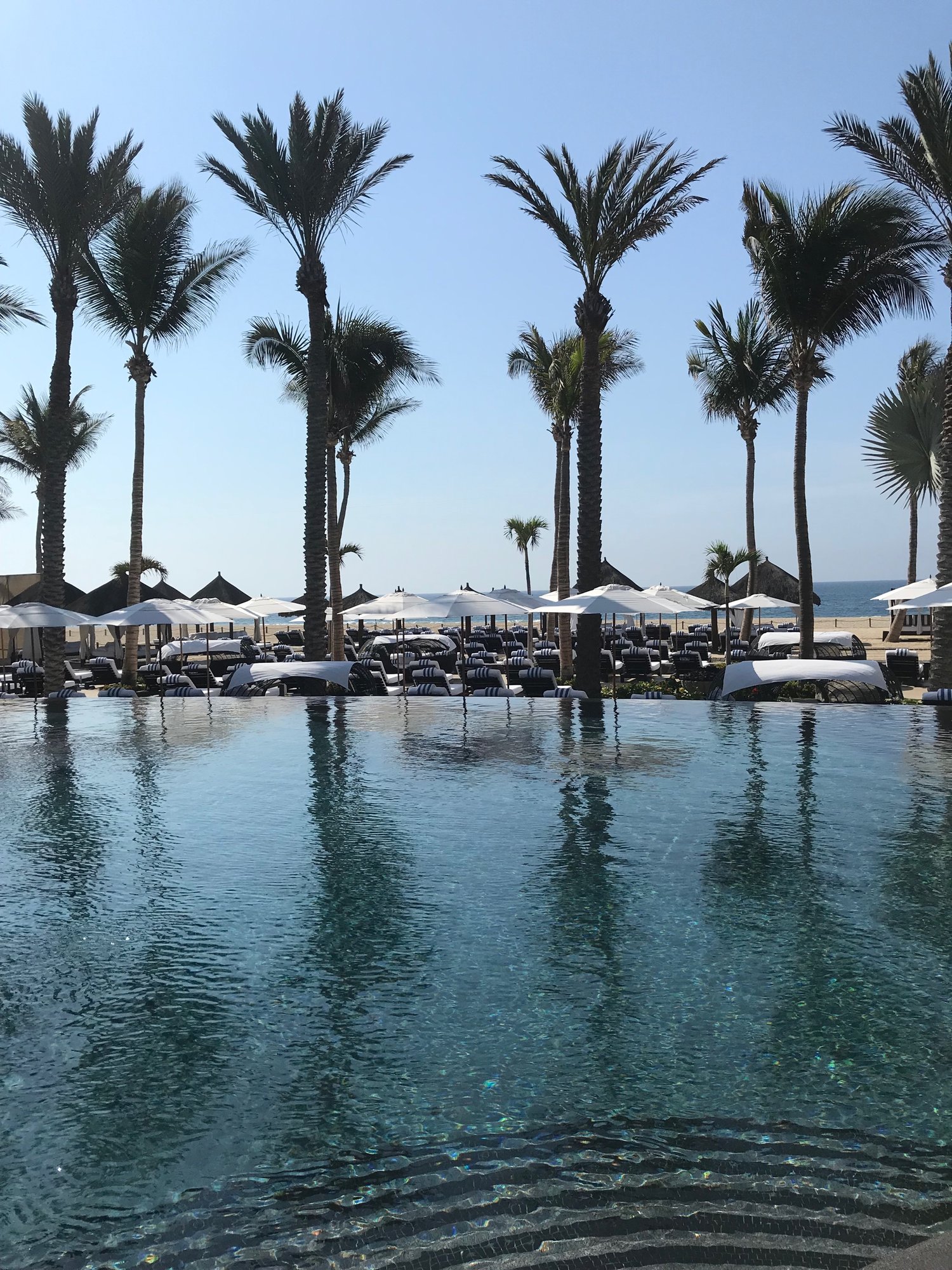 A Travel Guide to San Jose del Cabo, Mexico — Life in the Desert