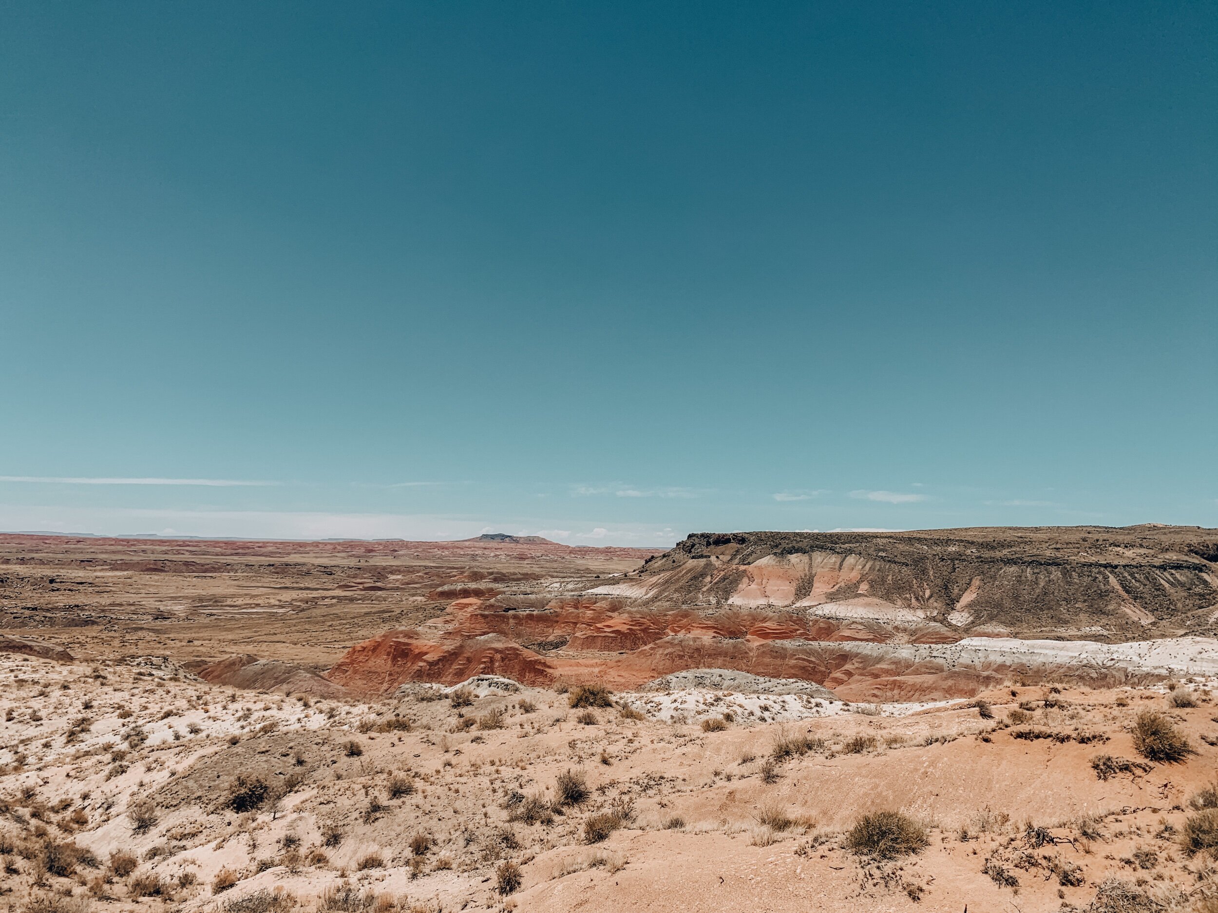 6 Ways to Celebrate Arizona's Birthday — Life in the Desert