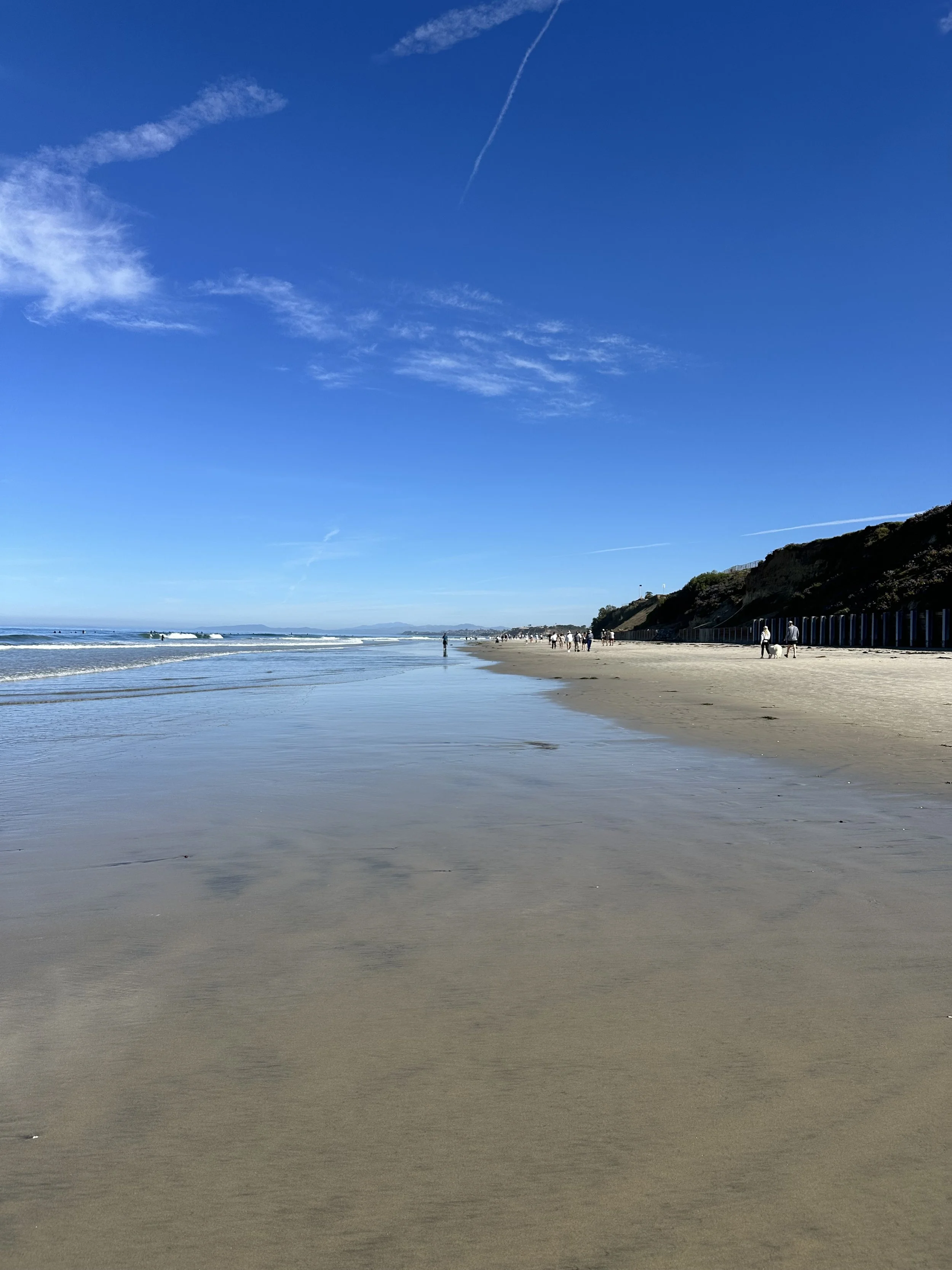 Exploring Del Mar, California: What to Know Before You Go