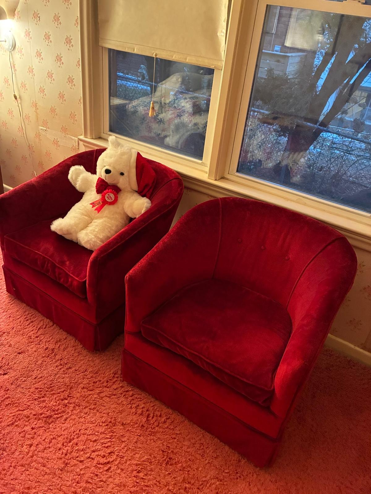 2 Velvet Chairs $60