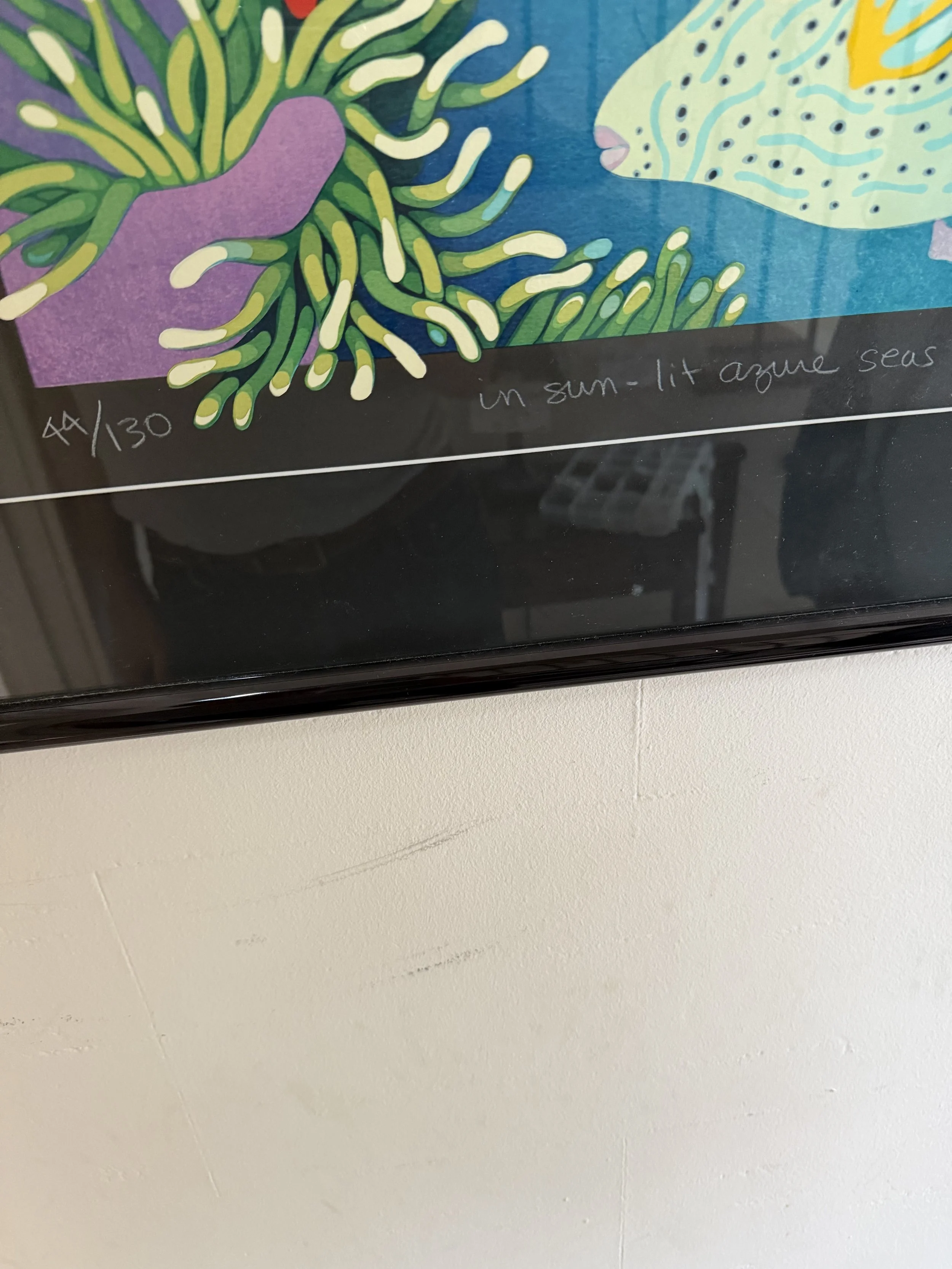 IMG_0791.jpeg