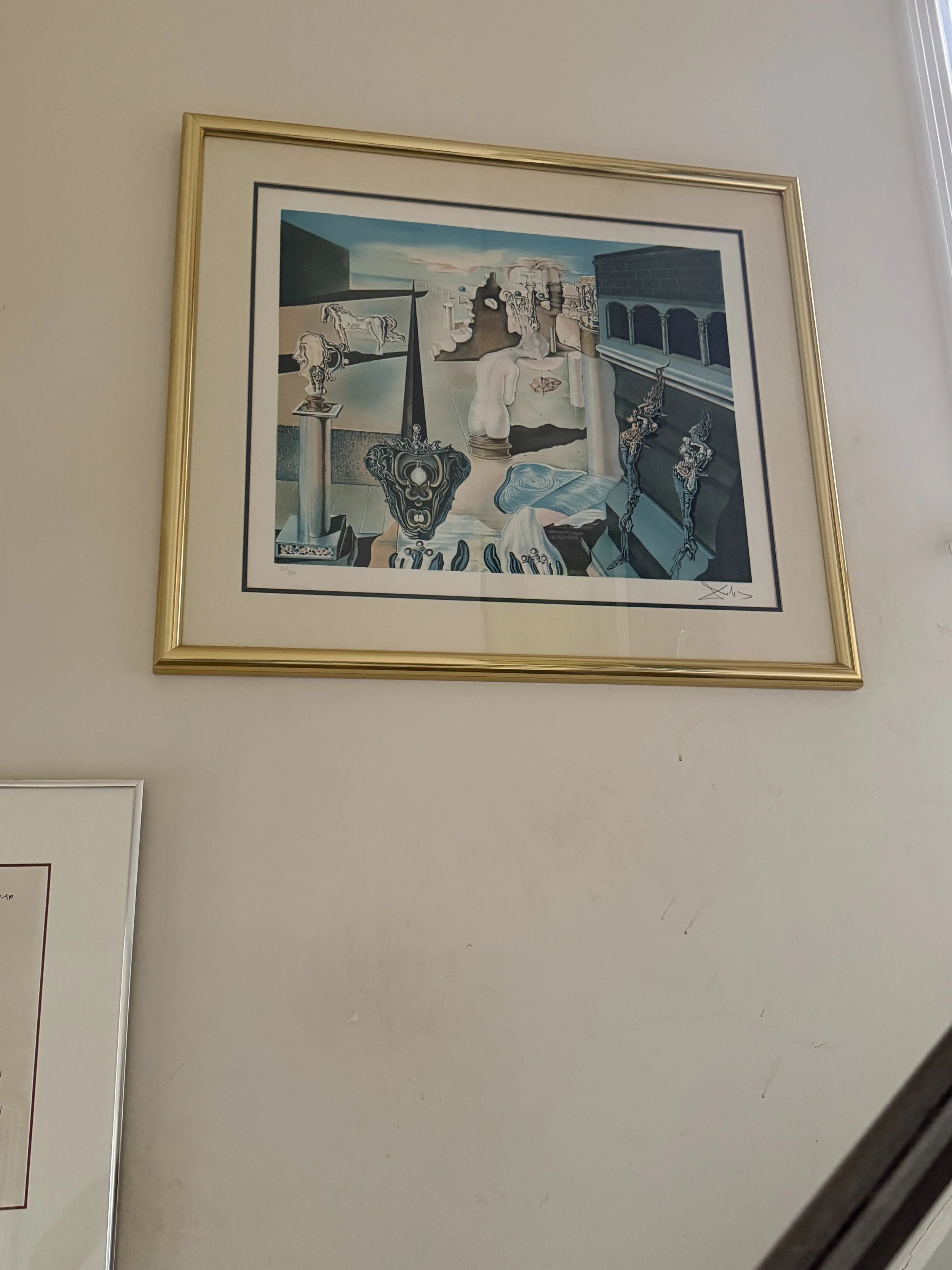 IMG_0795.jpeg