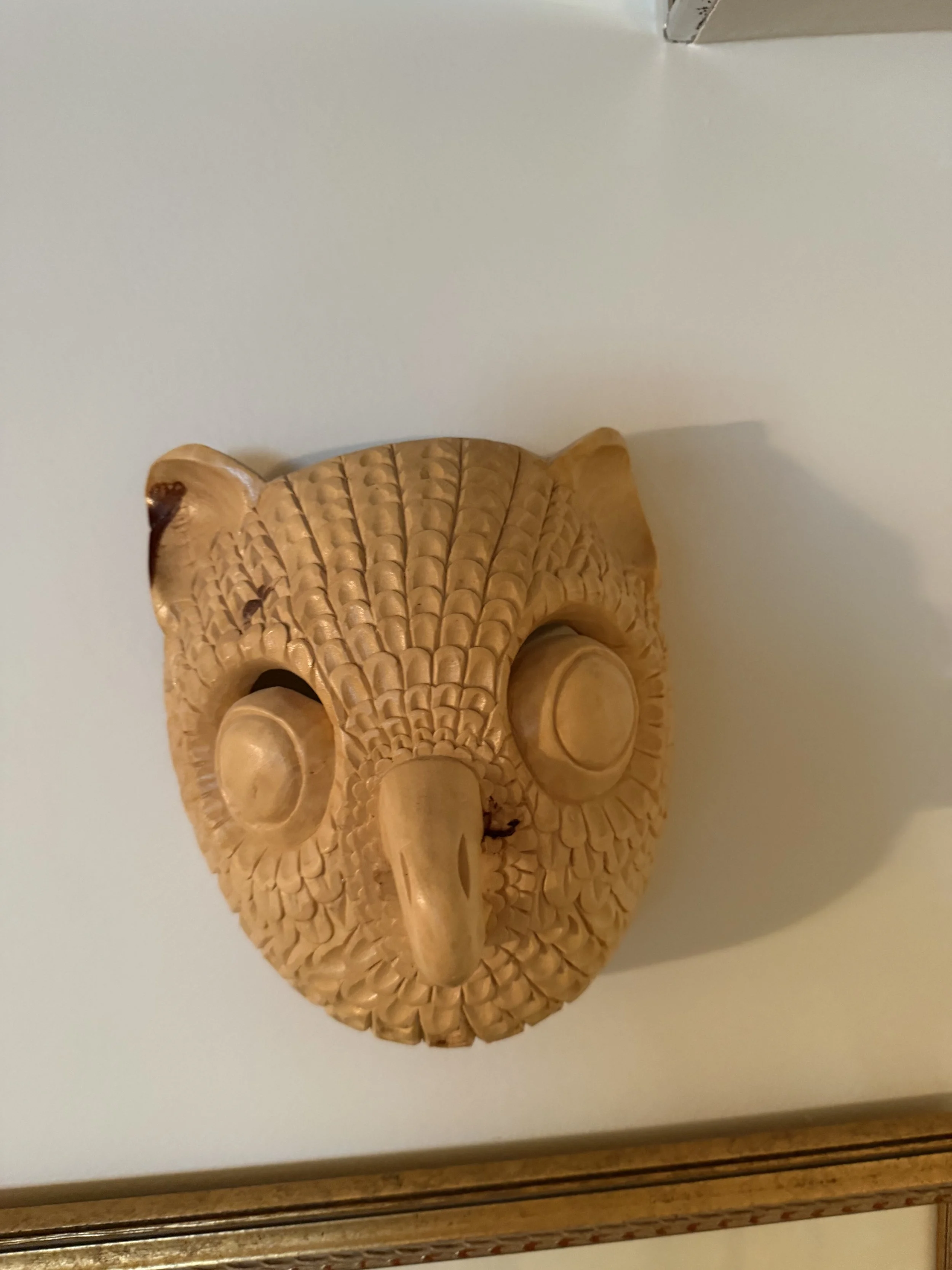 IMG_3478.jpeg
