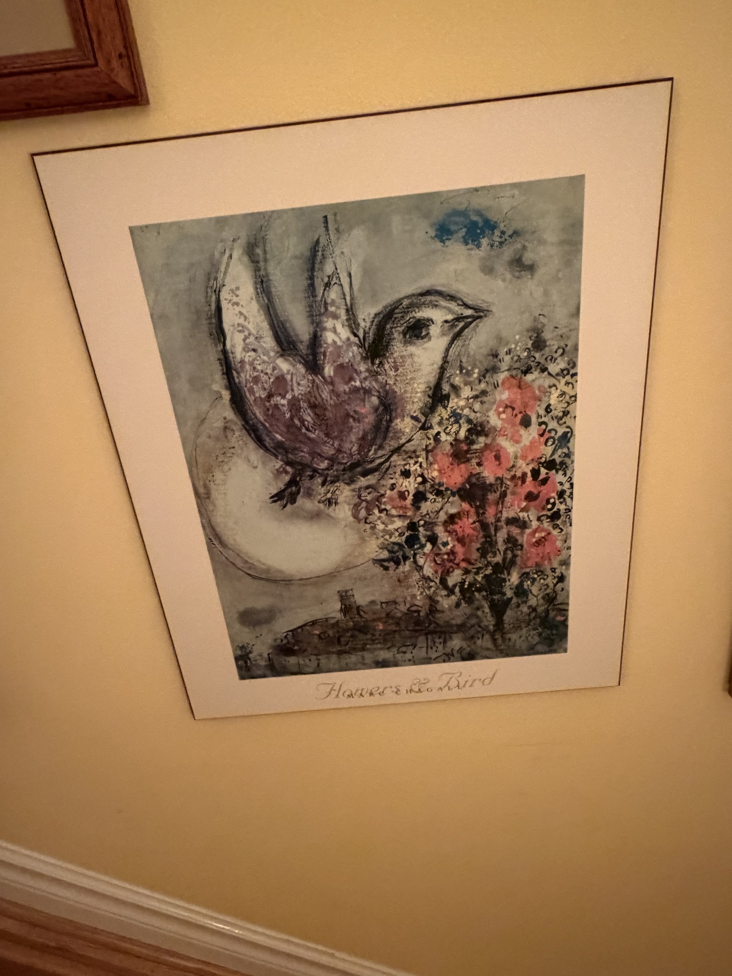 IMG_4569.jpeg
