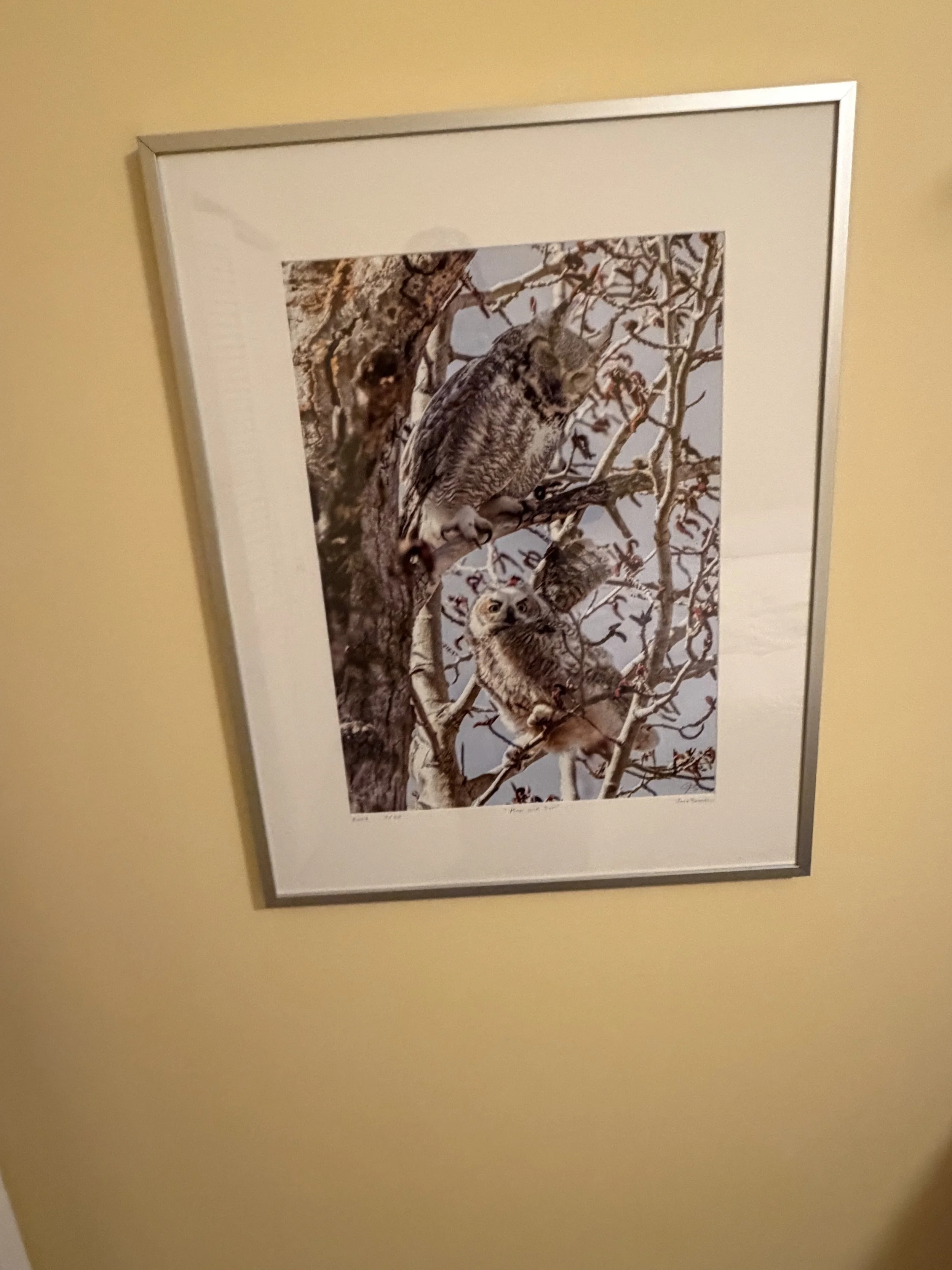IMG_4583.jpeg