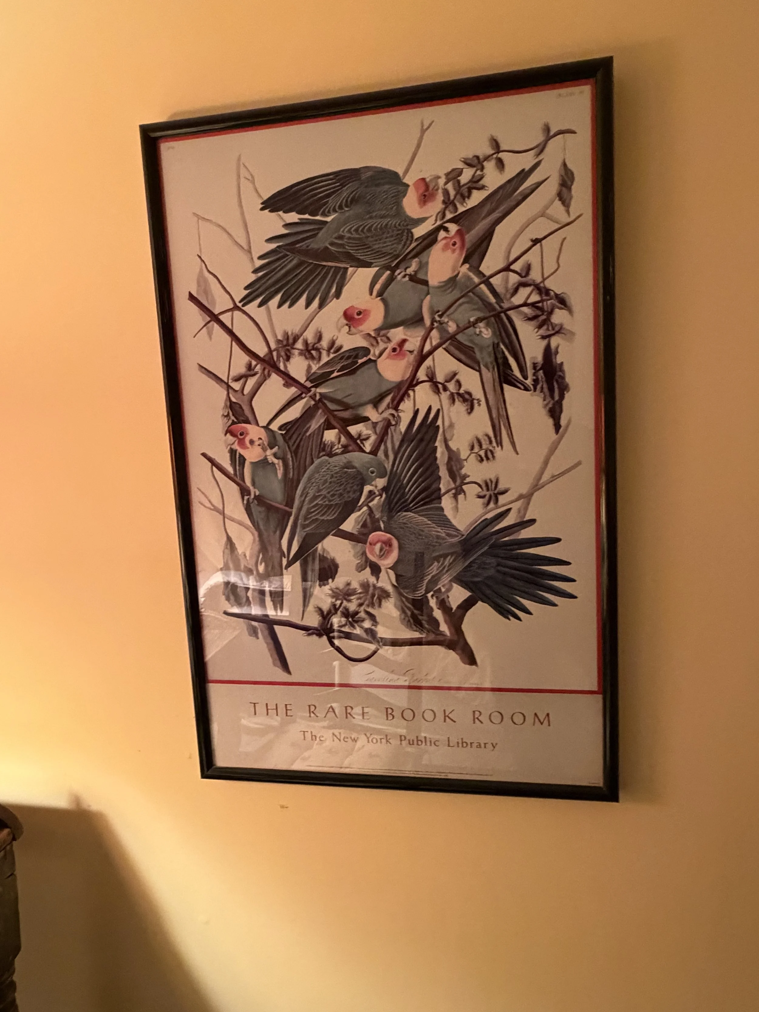 IMG_4595.jpeg