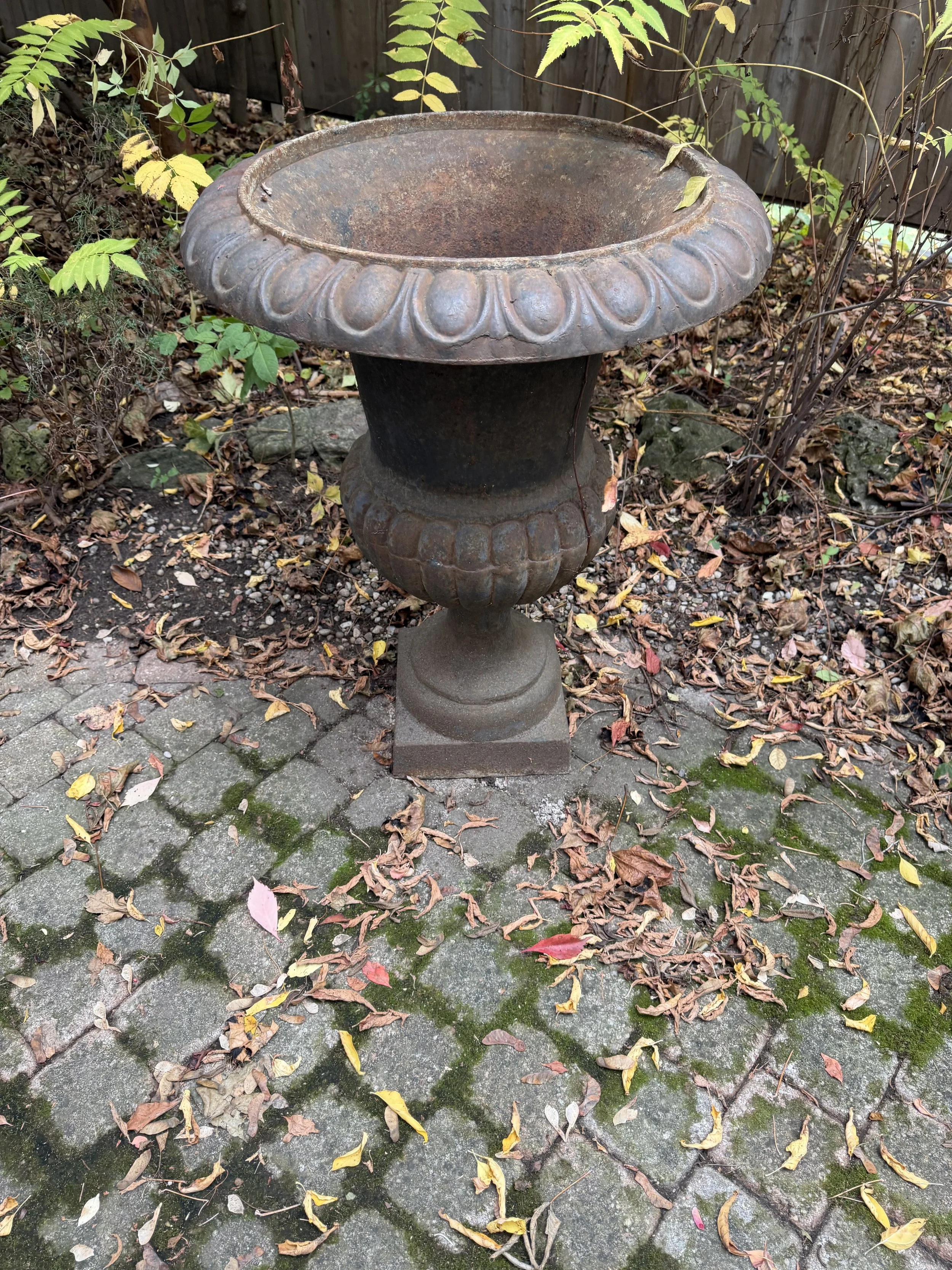 IMG_4617.jpeg