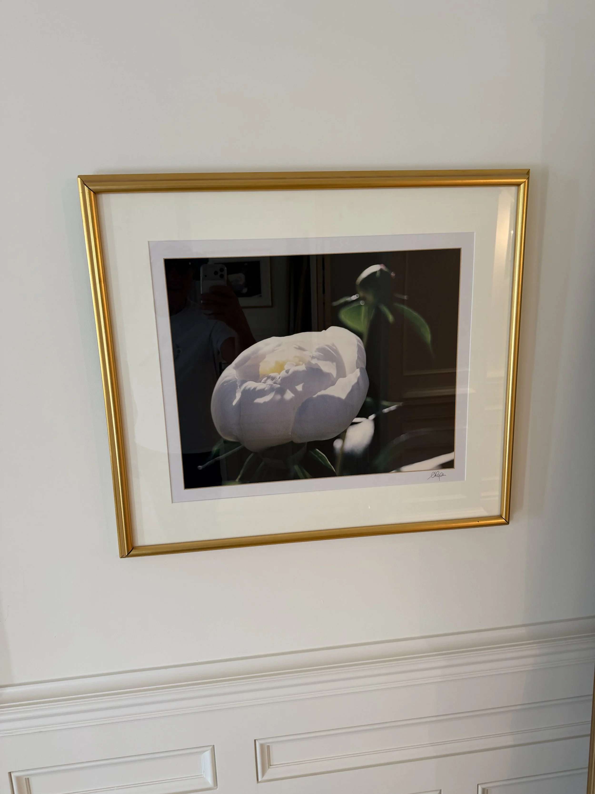 IMG_4878 2.jpeg