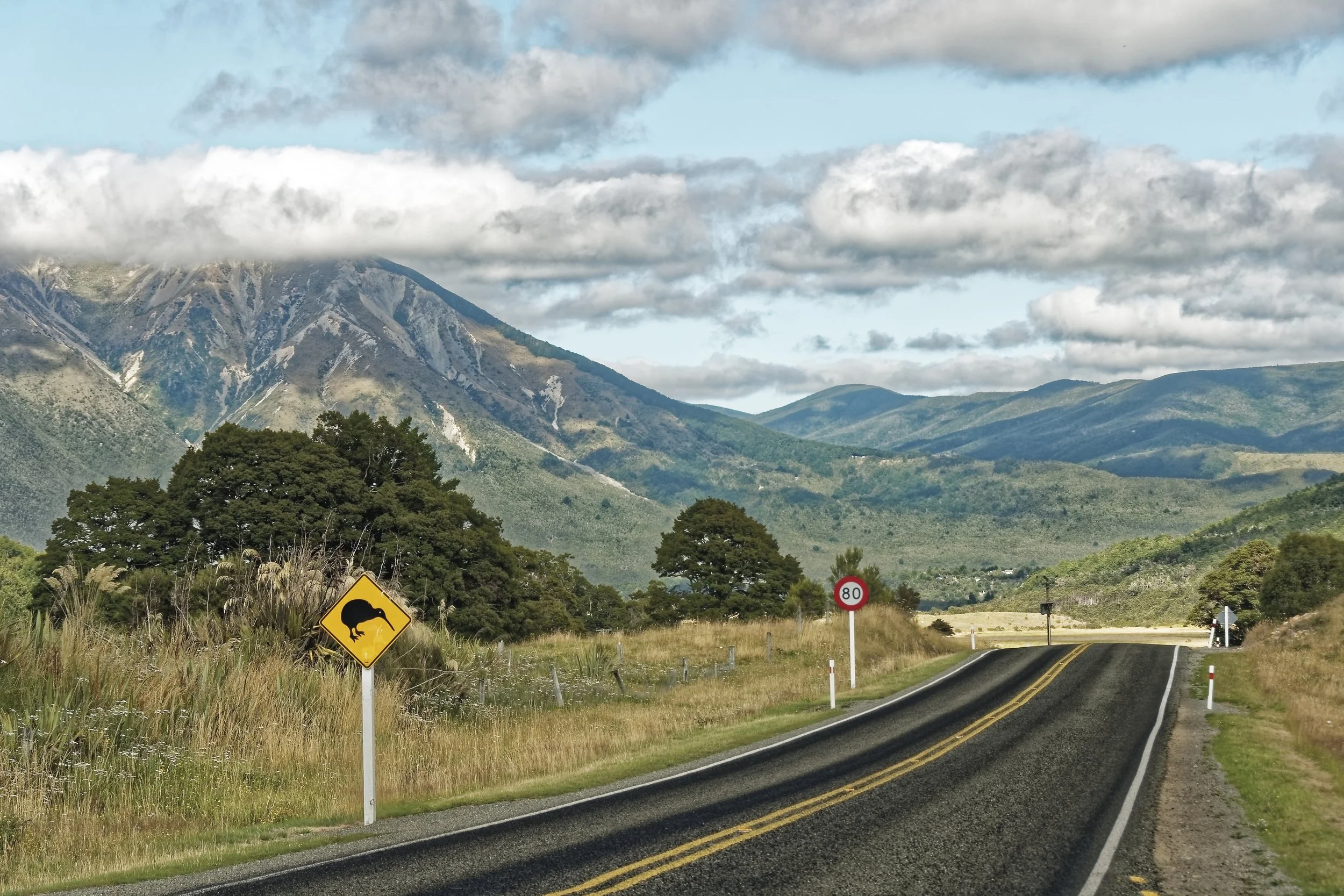 Aligning the Levers of Growth