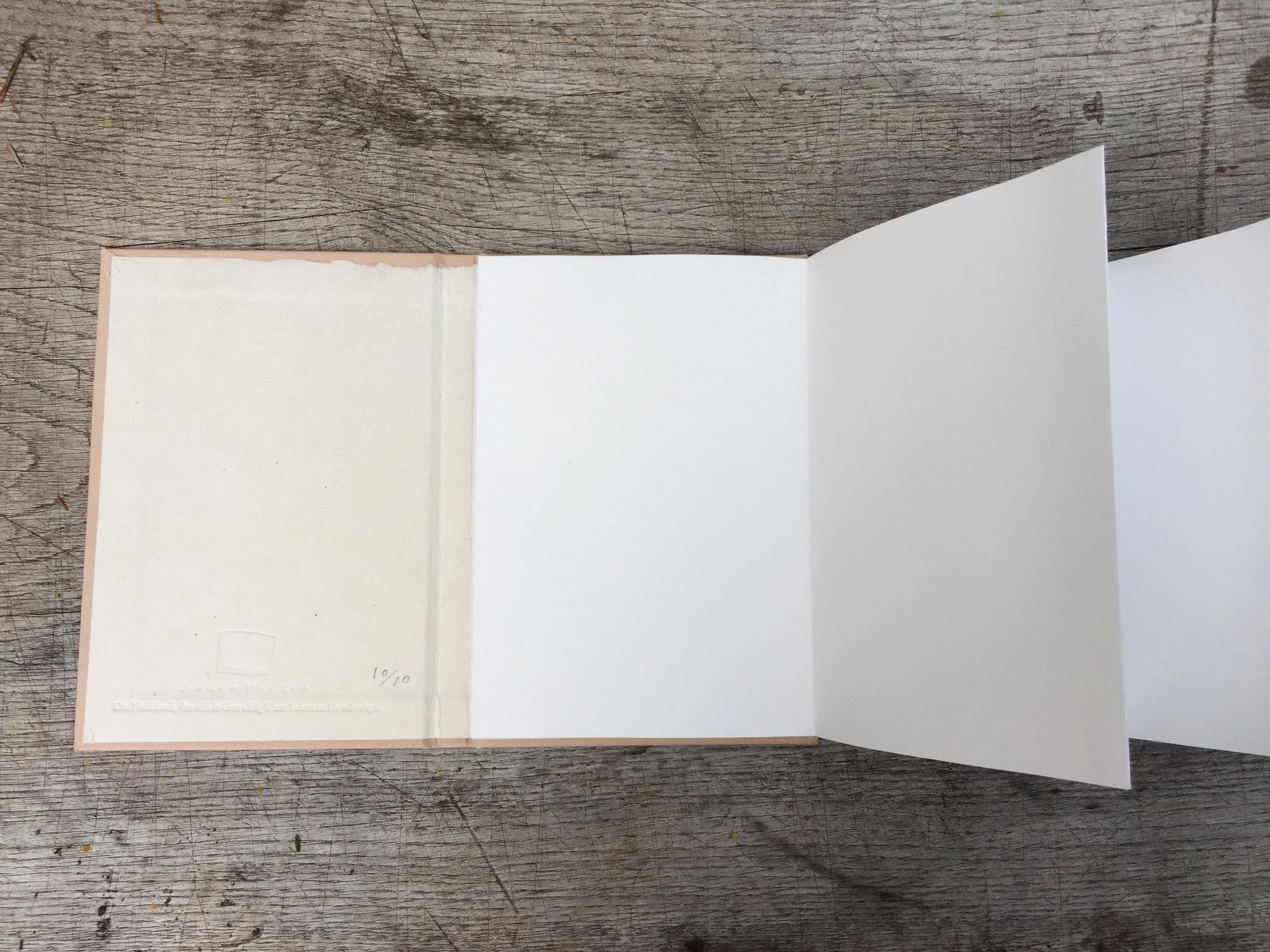 Nur dieses Notizbuch “ Lärchenzweige” wird als eine Lepollero gebunden.