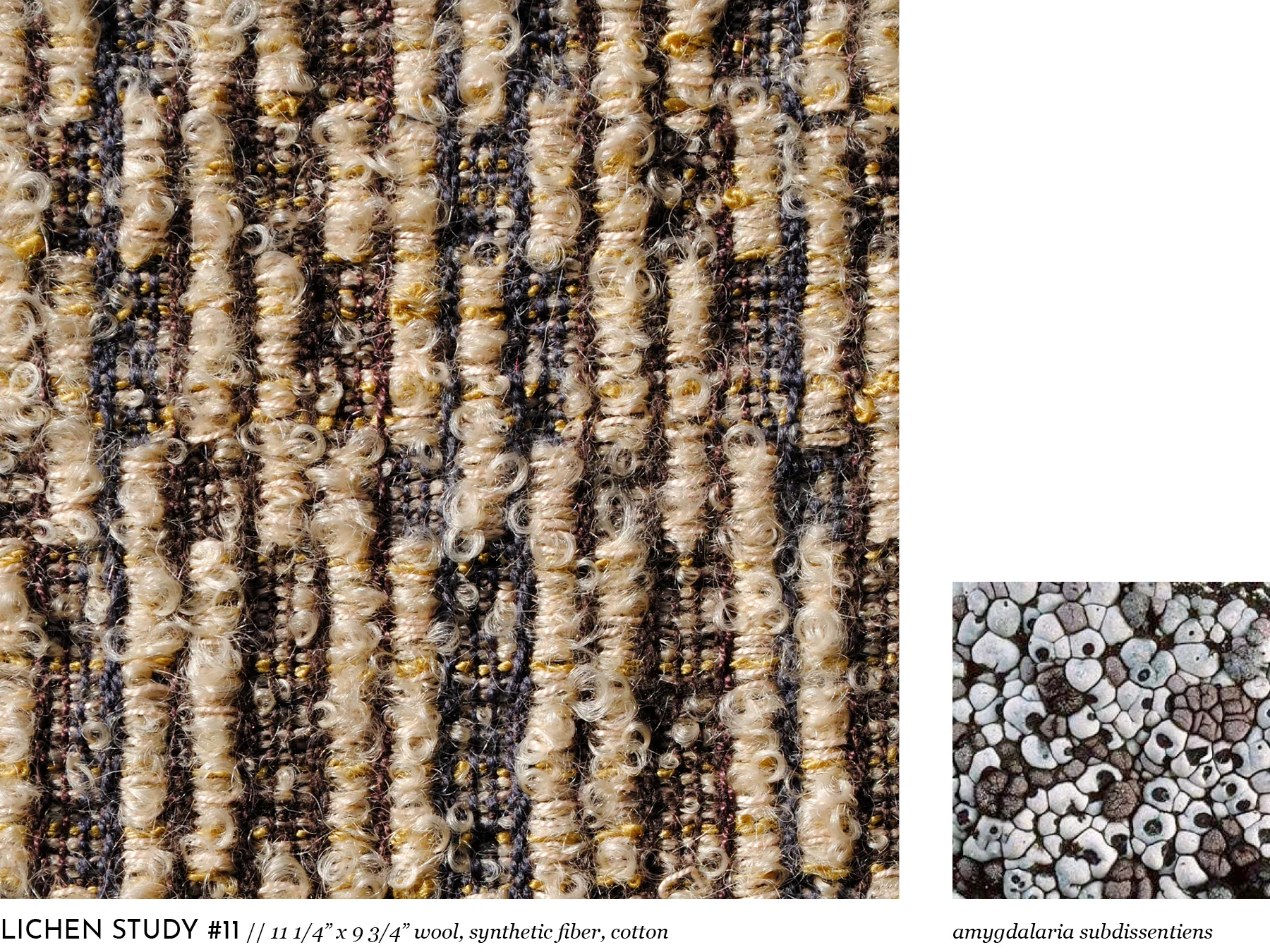 lichen11.jpg