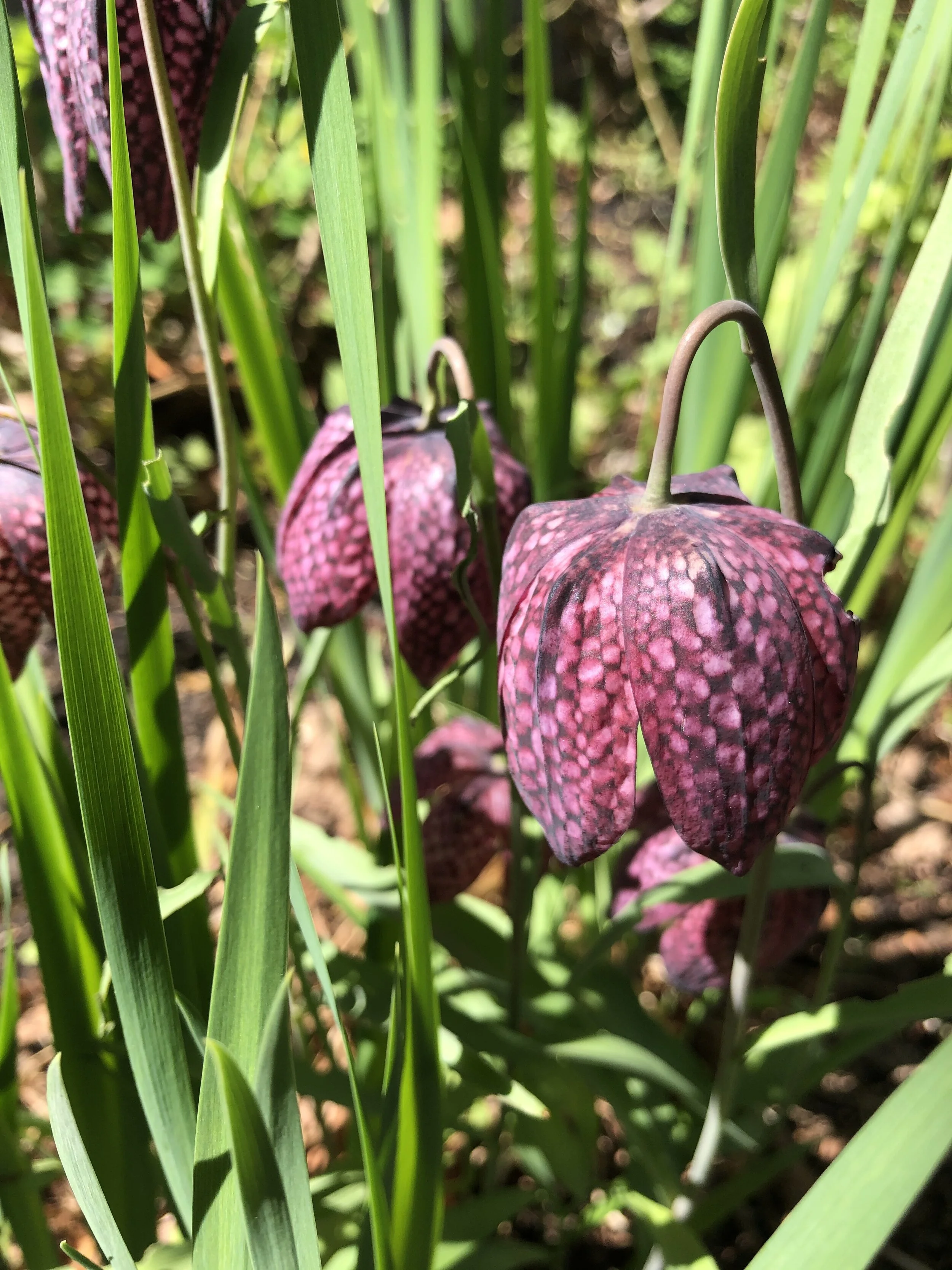 HAVE MERCY - What do we do with injustice?