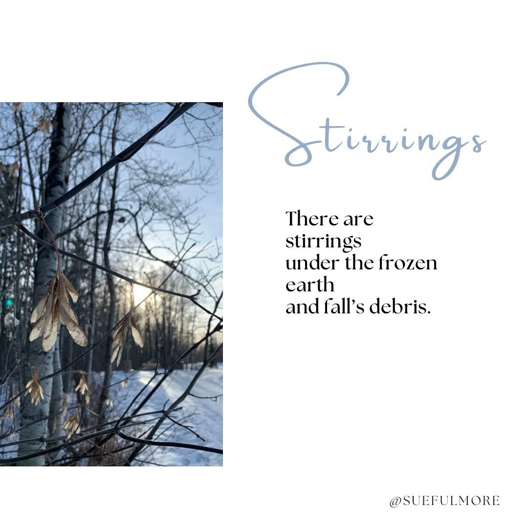 There are stirrings
under the frozen earth 
and fall&rsquo;s debris. 

If we could amplify the sounds of this stirring
We would hear rumblings and roars,
Yawns, grunts of exertion, 
And celebratory songs. 

The embryonic silvery-green leaves of the p