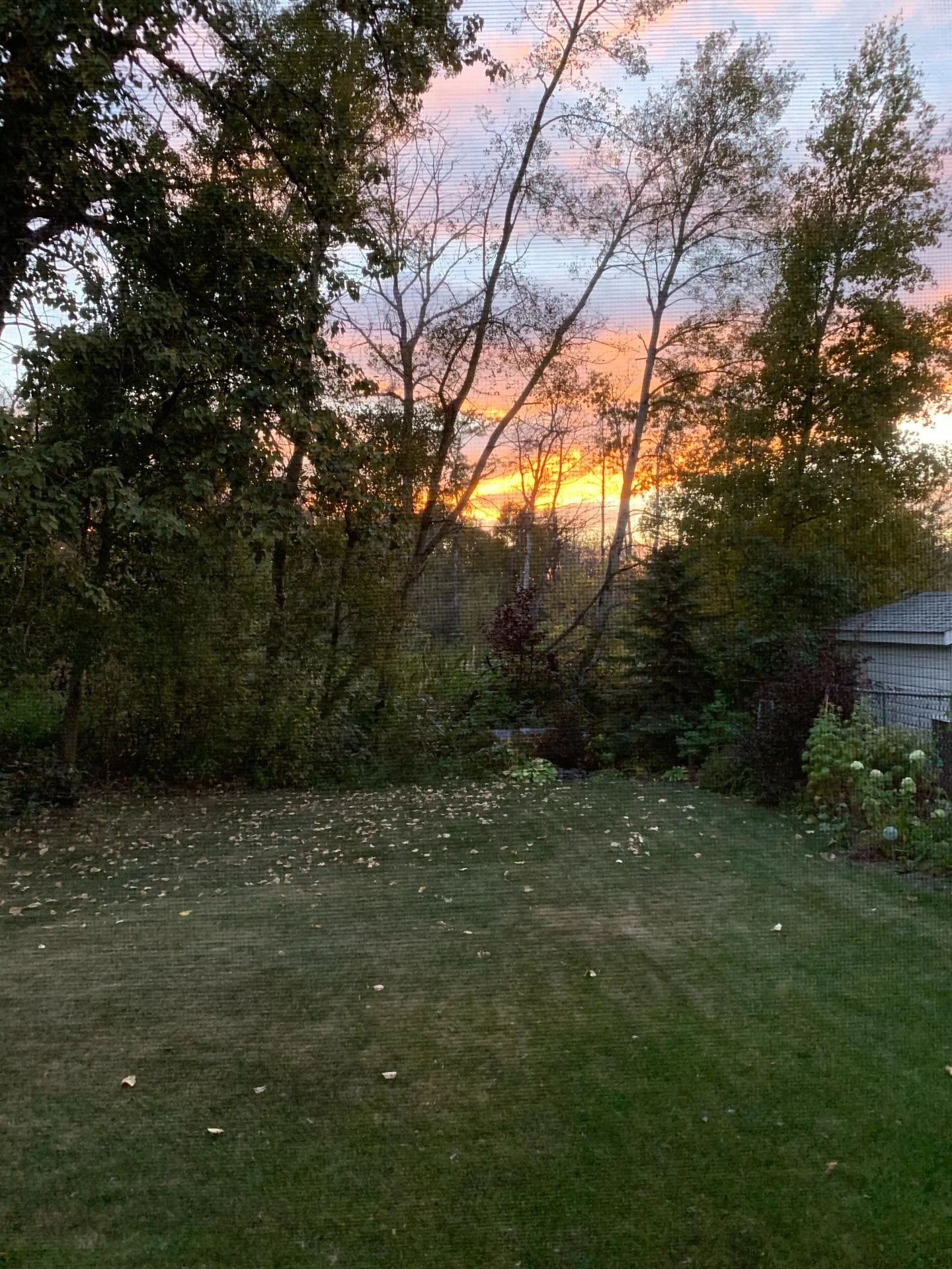 After a difficult day 
I watch as the sun fades from view-
The sky shifts from peach to pink to mauve then orange.
The lower edge of the clouds catch the light before darkness falls. 
I&rsquo;m chasing beauty
Knowing it heals 
And enchants.
For a tim