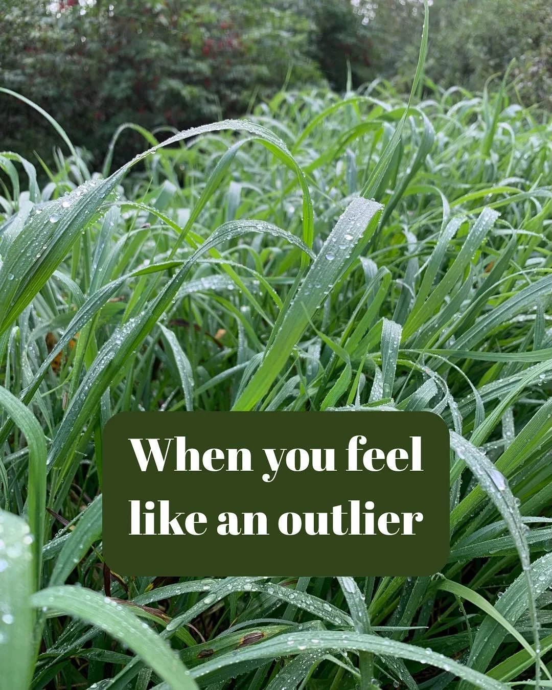 In case you feel it too. 

#outlier #faith #discernment #integrity #truth #wisdom #courage