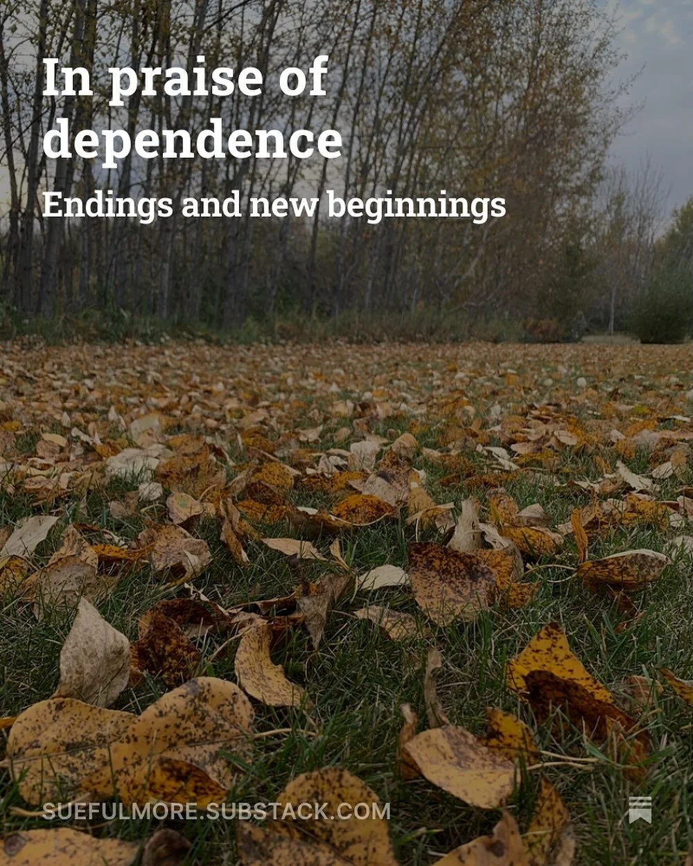 Learning to be dependent on only today&rsquo;s provision is a struggle. 

Not just in writing but in every area of life, I don&rsquo;t like not knowing, feeling out of control, and without a ready supply of what I might need.

I want more security th