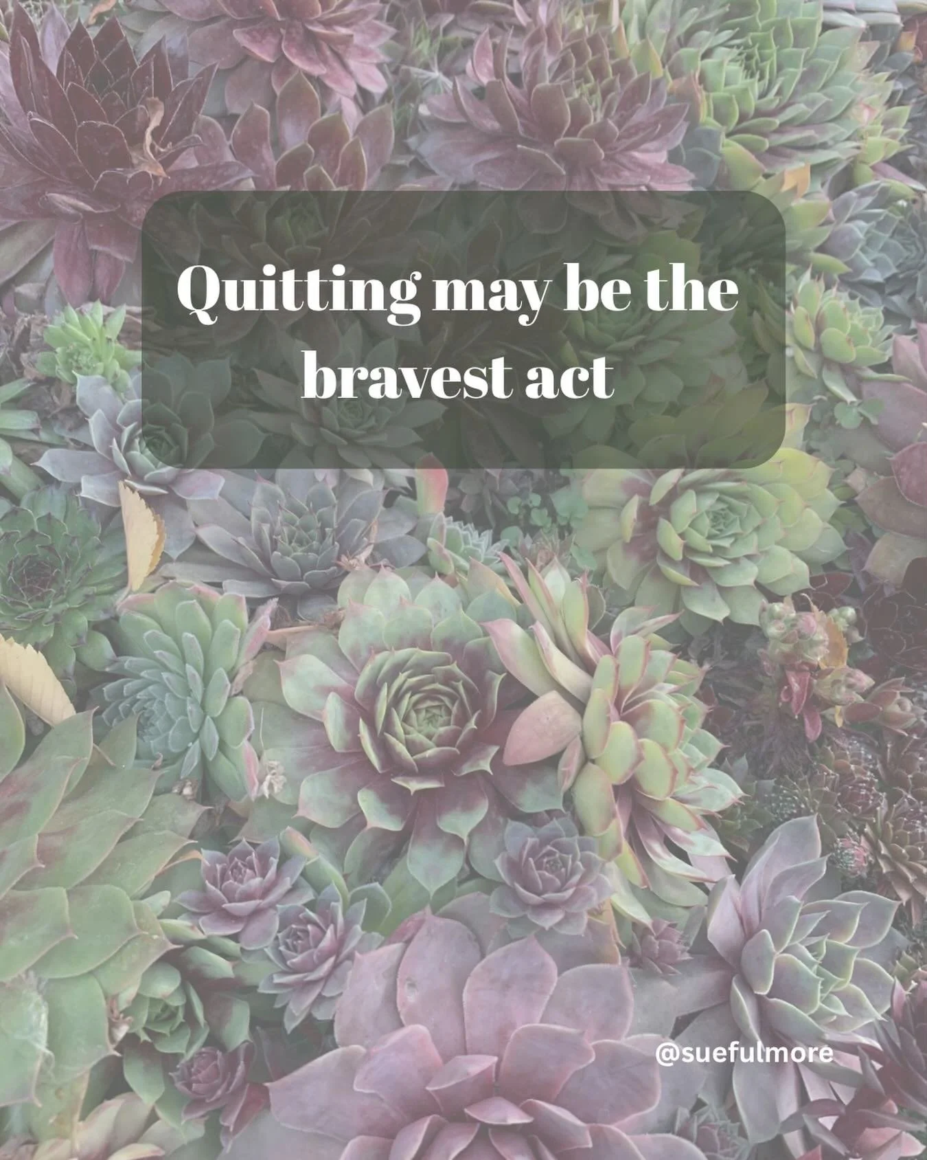We have learned many lessons about persistence in our lives, but we also need to remember that quitting can be the wisest choice.

You are not a failure for quitting:
🔹something that is harmful to your well-being. 
🔹what no longer serves you or rep