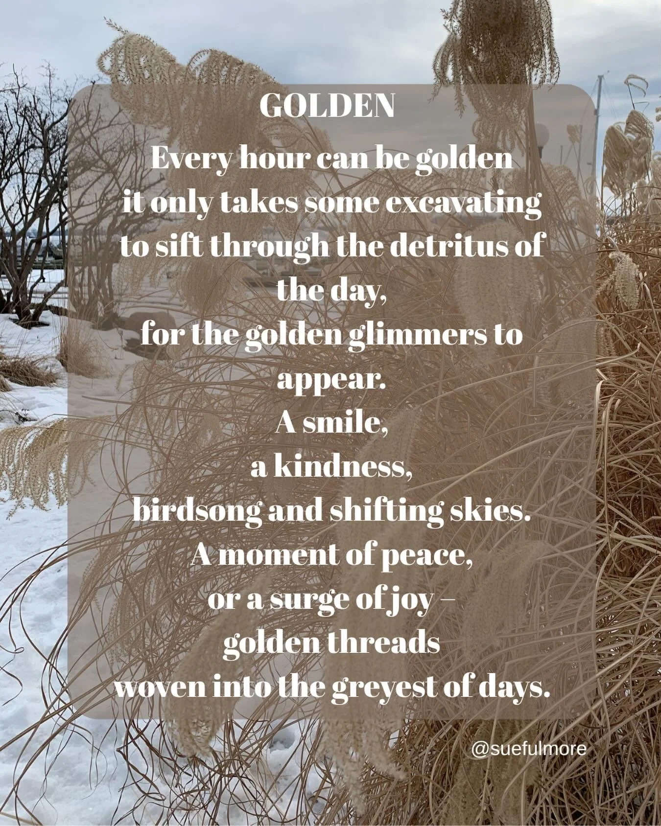 Where are you finding the golden threads these days?

This is an excerpt form my latest Substack post - the link is in my bio 

#beauty #glimmers #hope #gratitude #payingattention