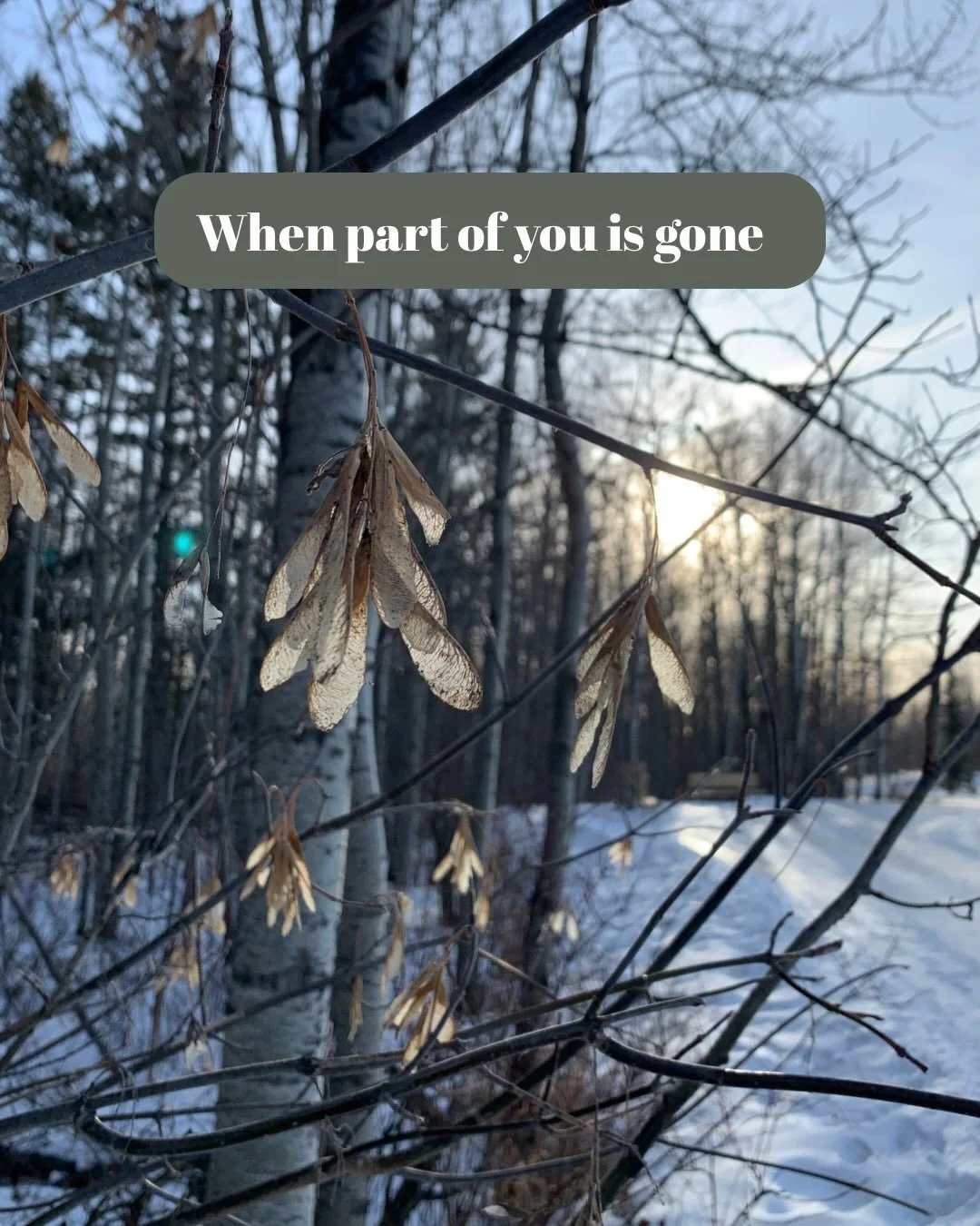 Grieve the losses 
And look toward the horizon for what is ahead.

#transitions #loss #hope #grief #lament