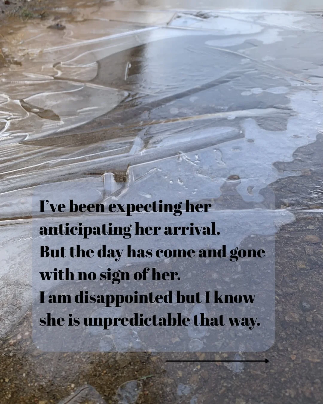 Lament of a resident of Alberta

I&rsquo;ve been expecting her 
anticipating her arrival.
But the day has come and gone 
with no sign of her.
I am disappointed but I know
she is unpredictable that way.

Still, I anticipate 
all she will bring with he