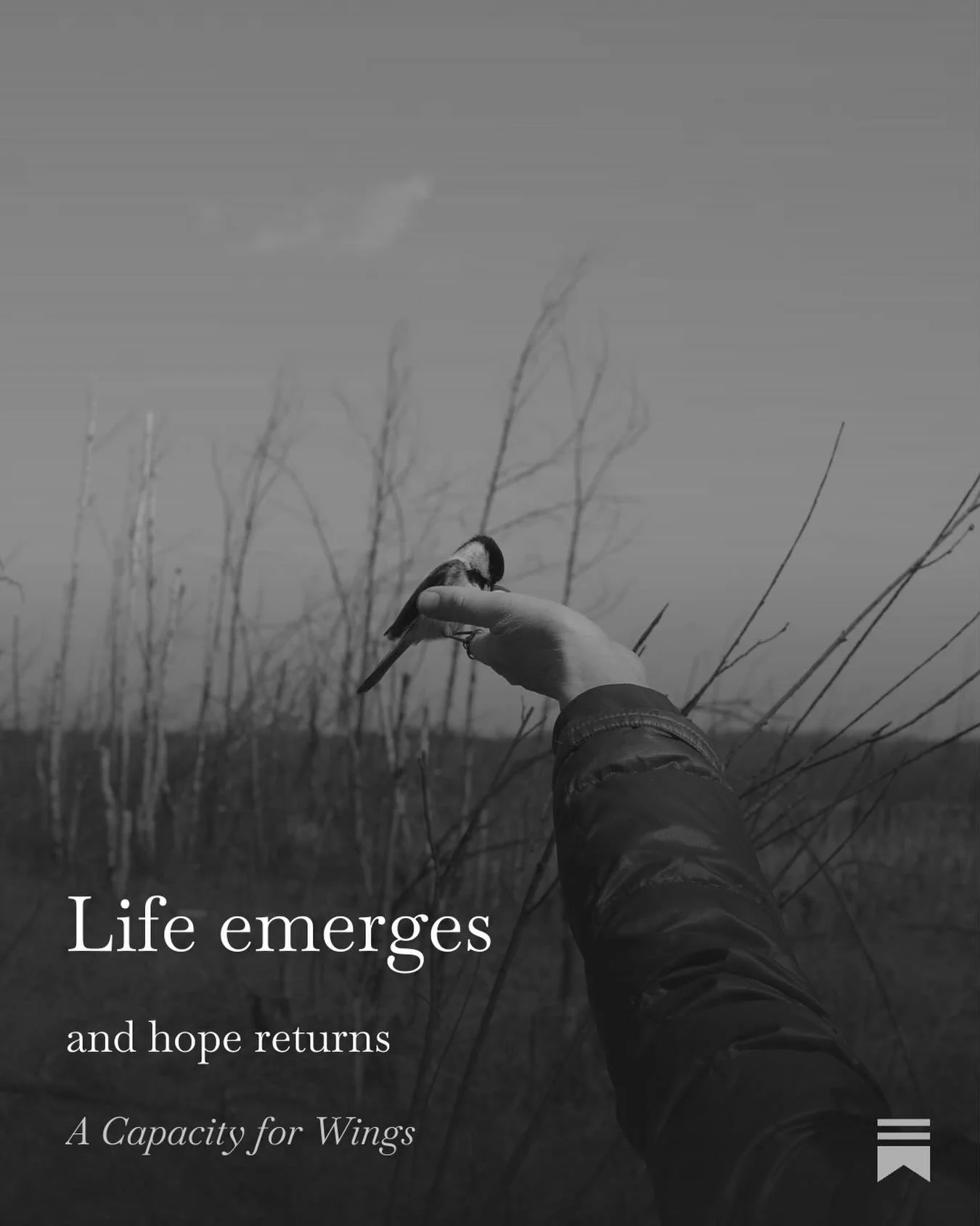 SPRING BLESSING

With every new bud and hint of green 
that bursts forth from twig and soil,
may hope return to your heart. 

As the hours of sunlight lengthen
may healing light reach into every crevice
of your soul. 

Where hope had dried up like an