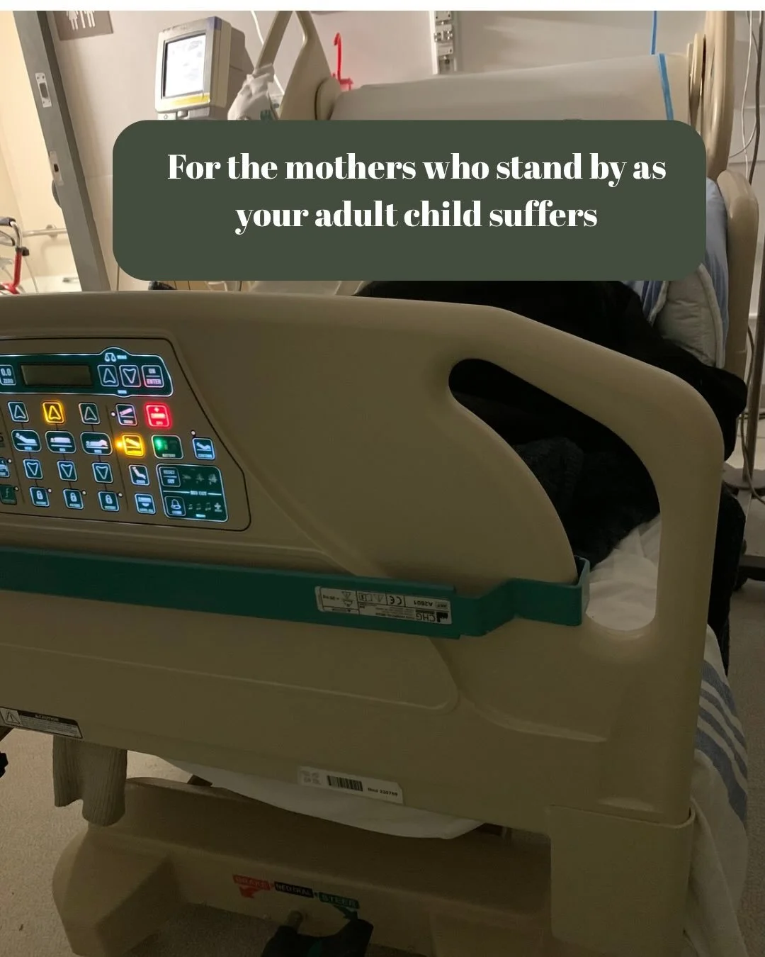A poem for the moms walking this hard road with their grown kid. 

Your fierce love is a beautiful thing. 

#mothering #love #illness #adultchildren #emptynestlife