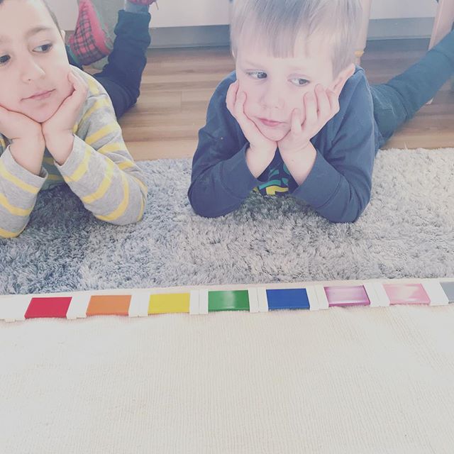 So many choices #colortablets #box2 #montessori #waylandmontessori #waylandMA #pairing #preschool #education #school #primary #lessons #buddies #creativity #art #brilliantminds #rug #rugwork