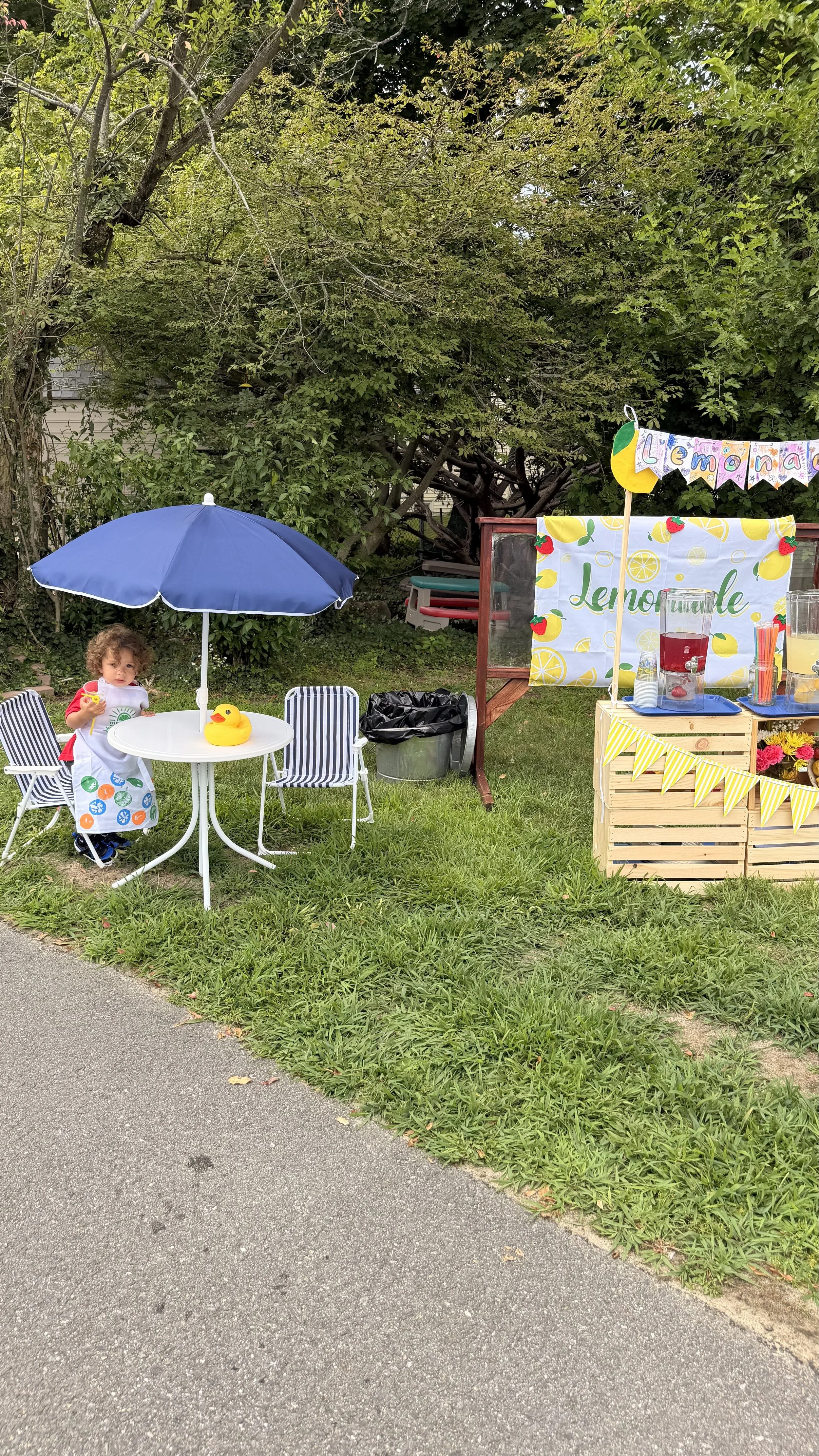 	Our Children Built a Lemonade Stand From Scratch This Week