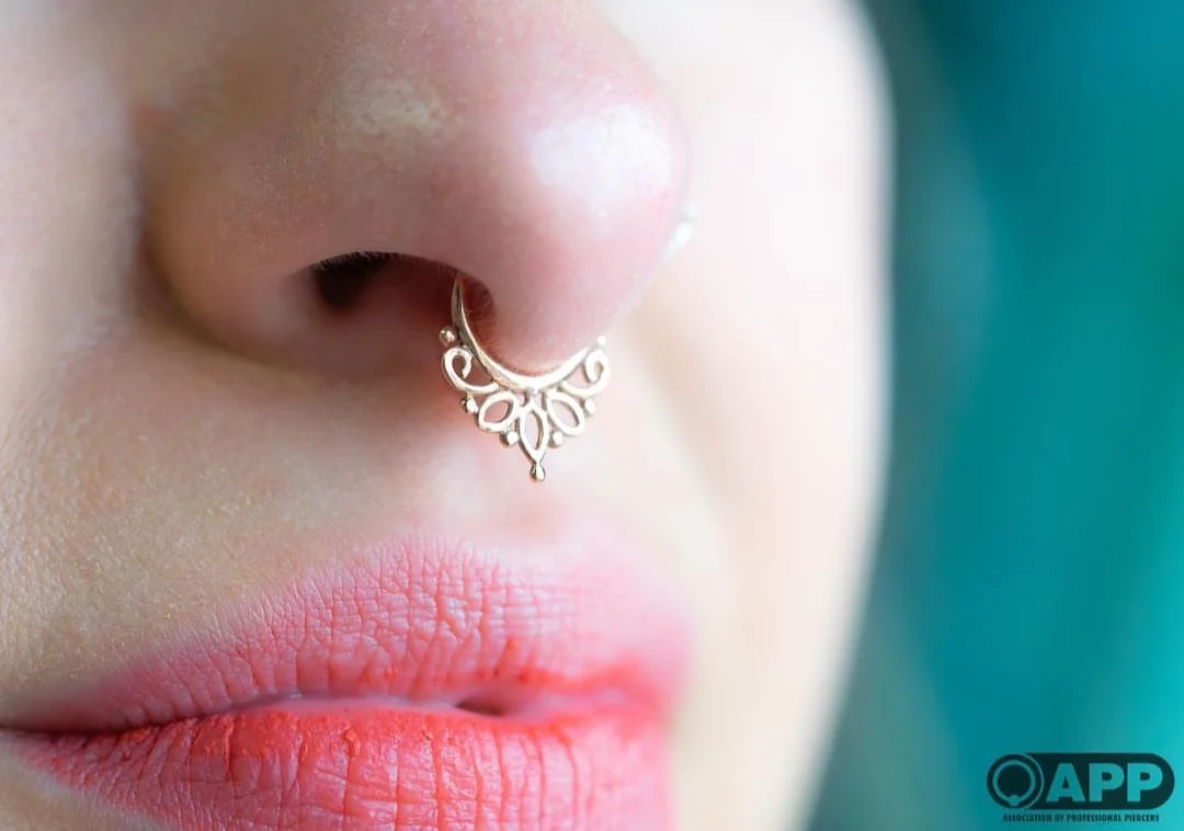 Acacia Septum