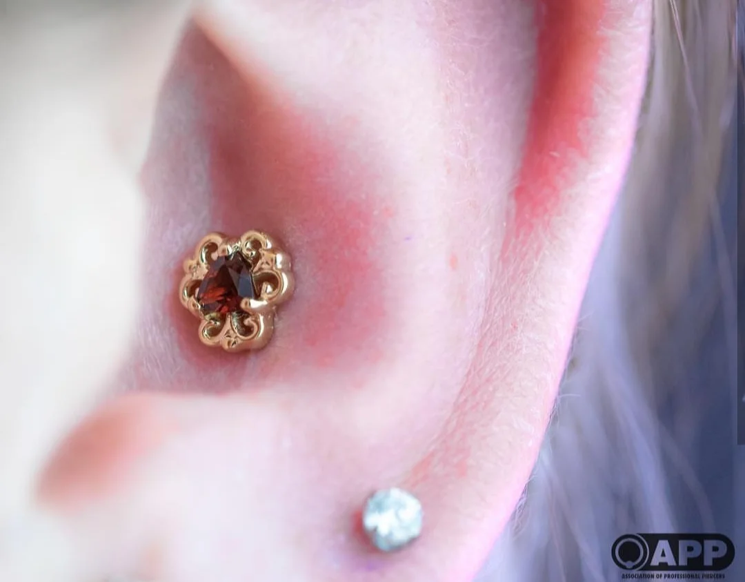 Lamia Garnet Conch