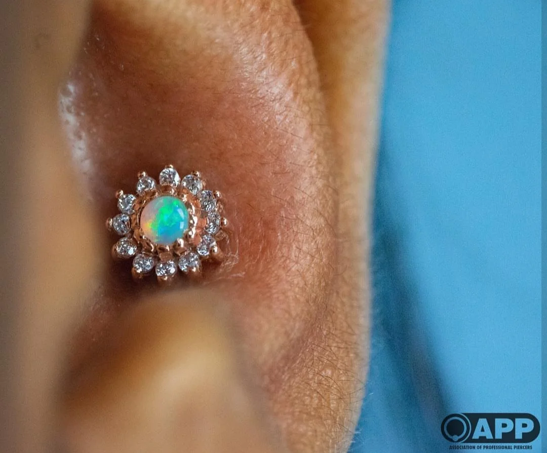 Flower Conch
