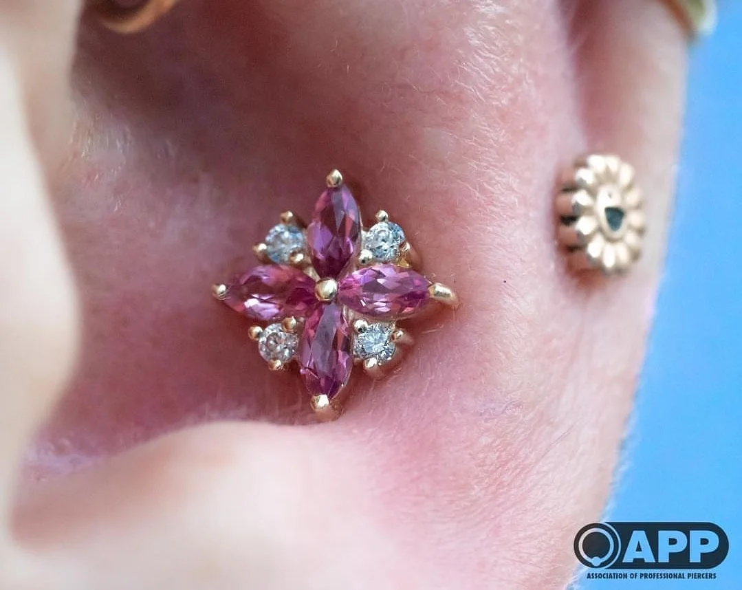 Pleades Conch